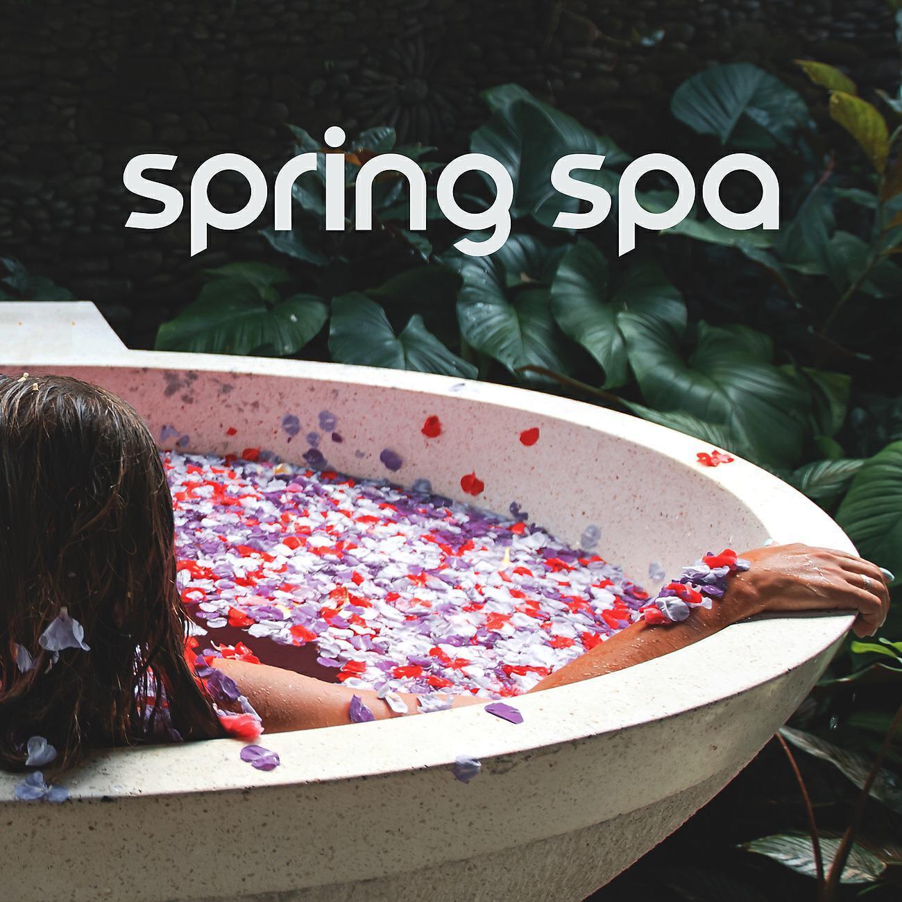 Relaxing Spa Music Zone