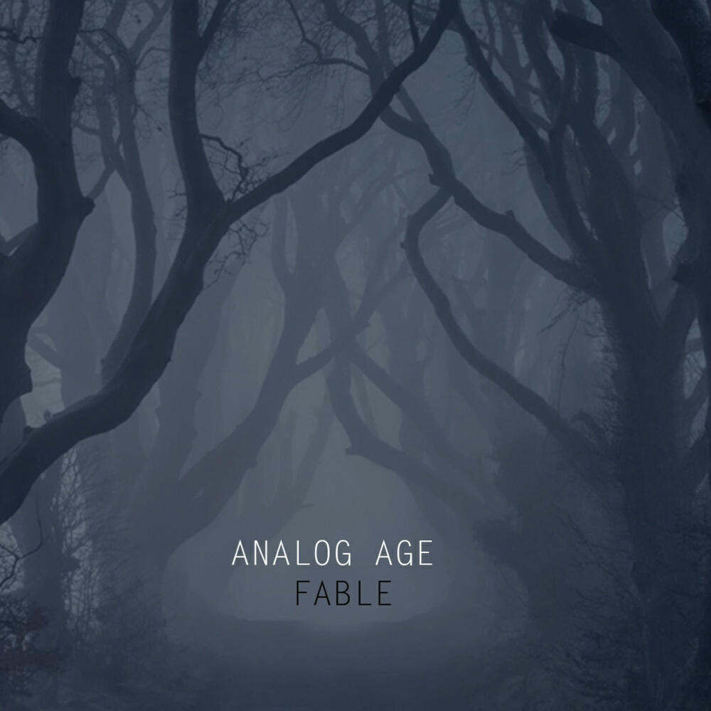 Analog Age