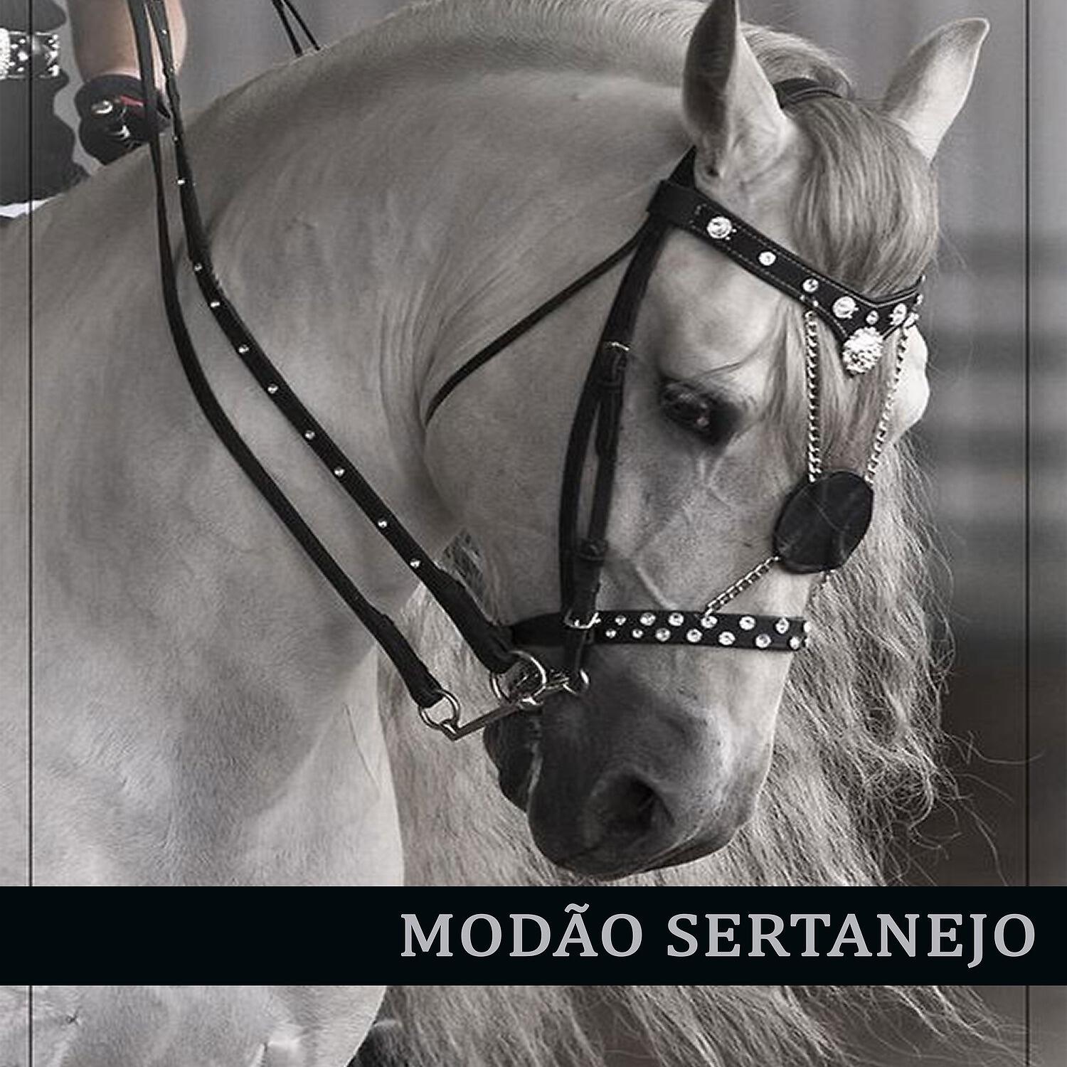 Релиз Modão Sertanejo