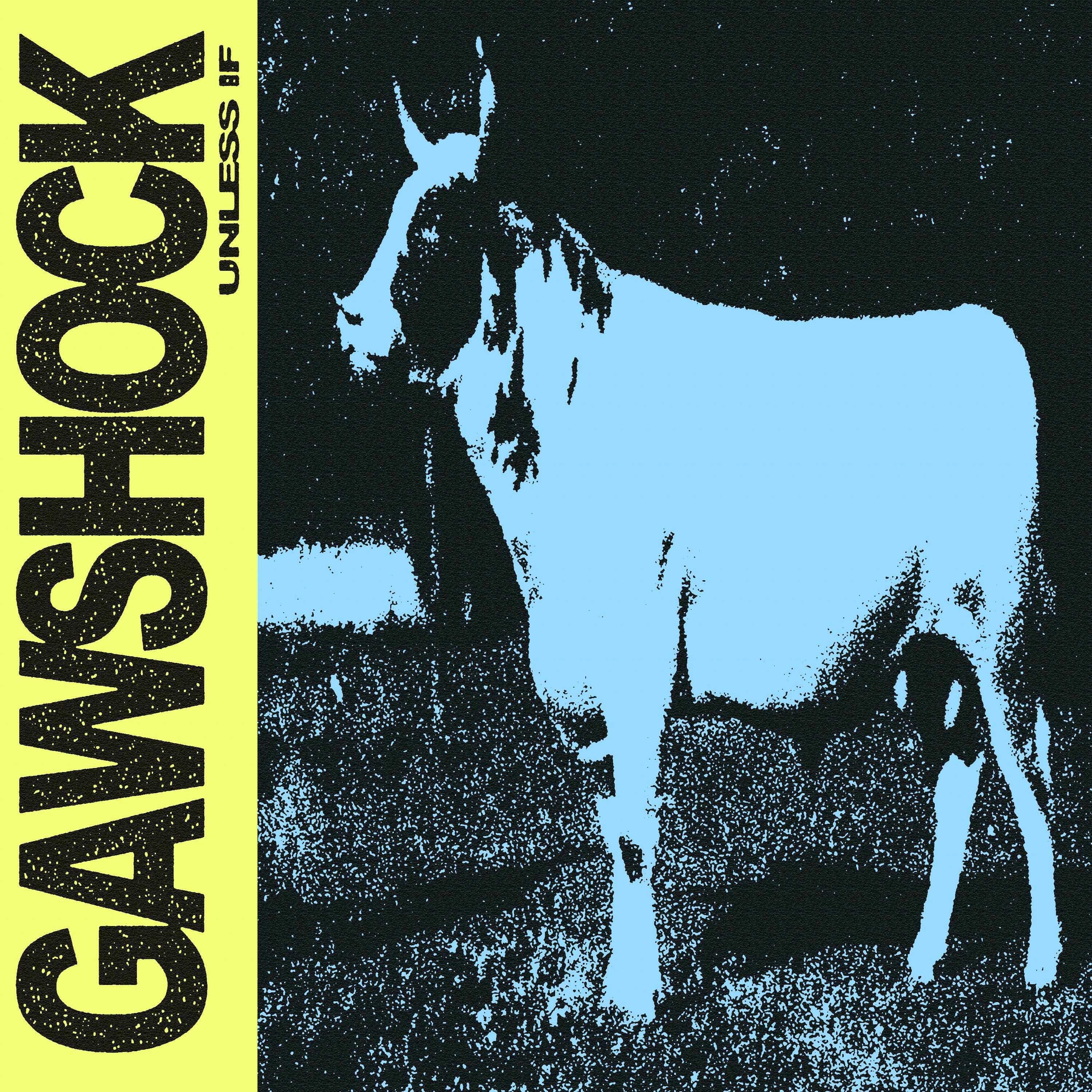 Gawshock