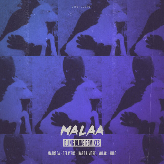 Релиз Bling Bling Remixes