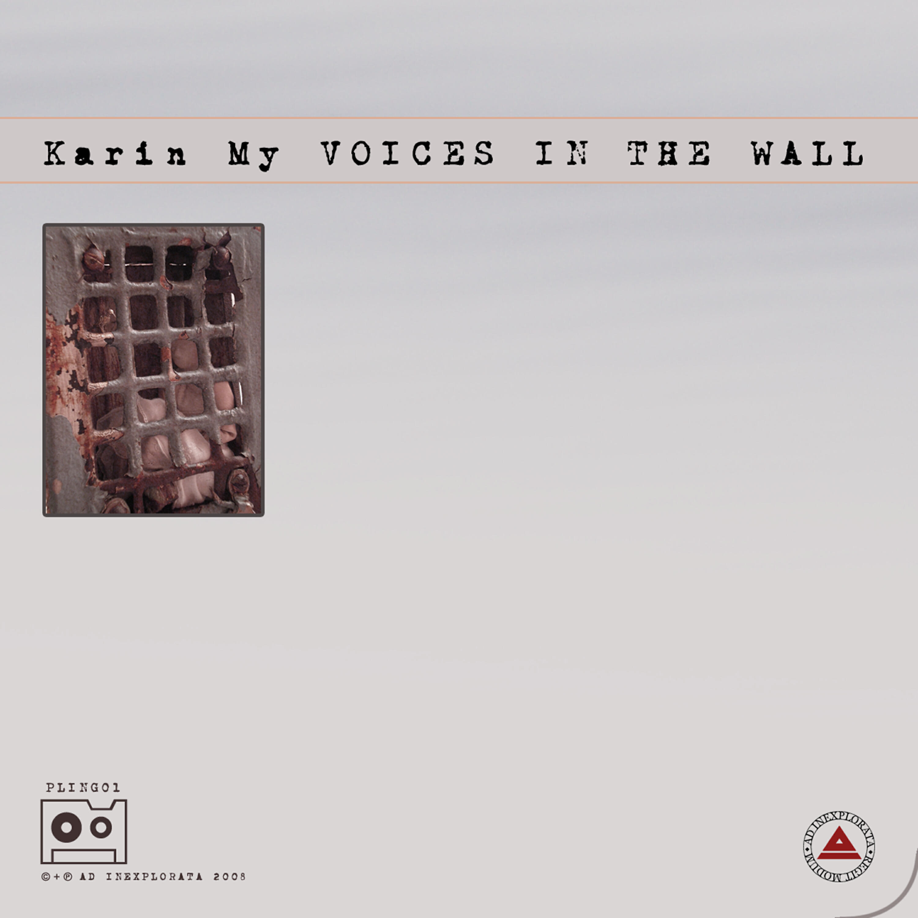Релиз Voice in the wall