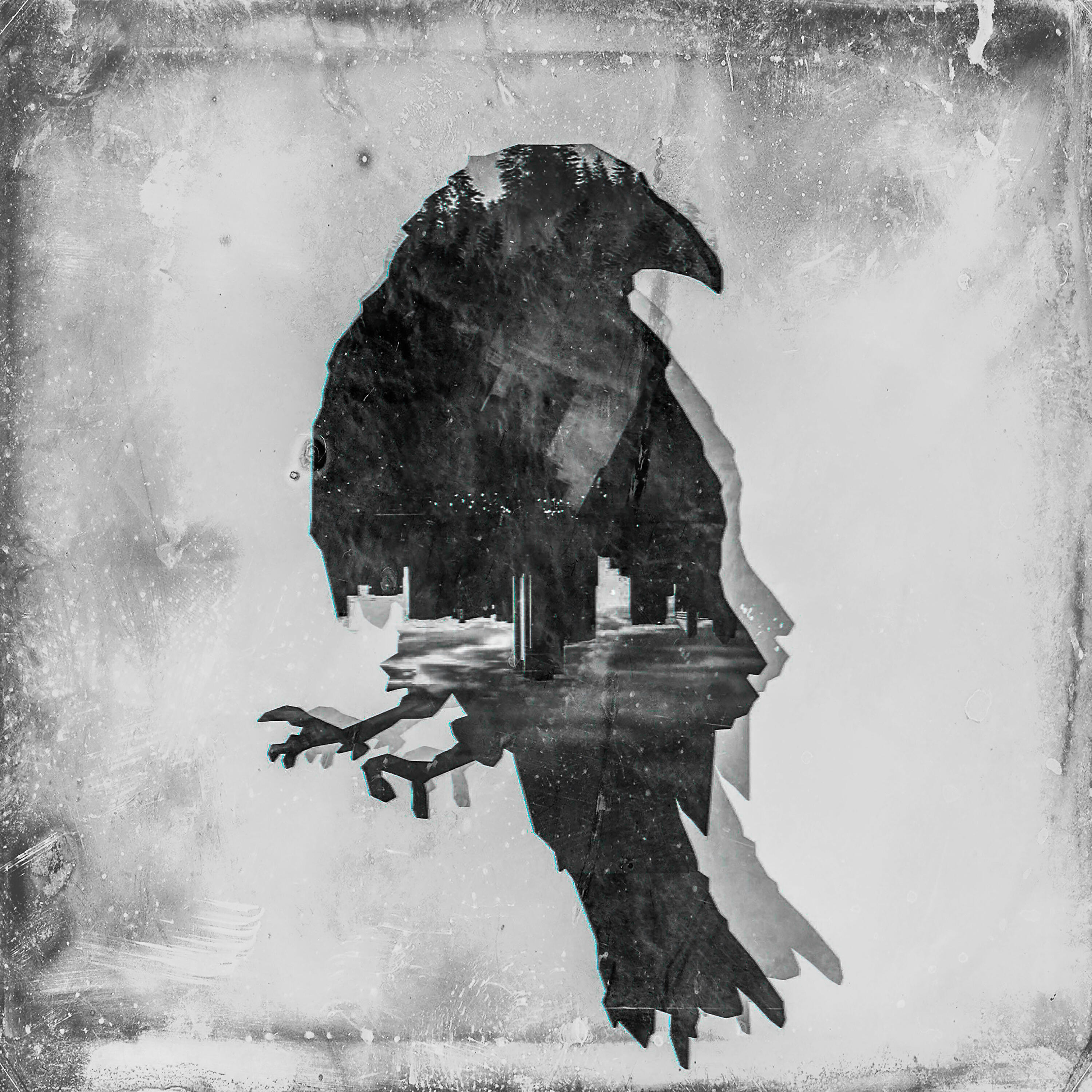 Релиз Birds