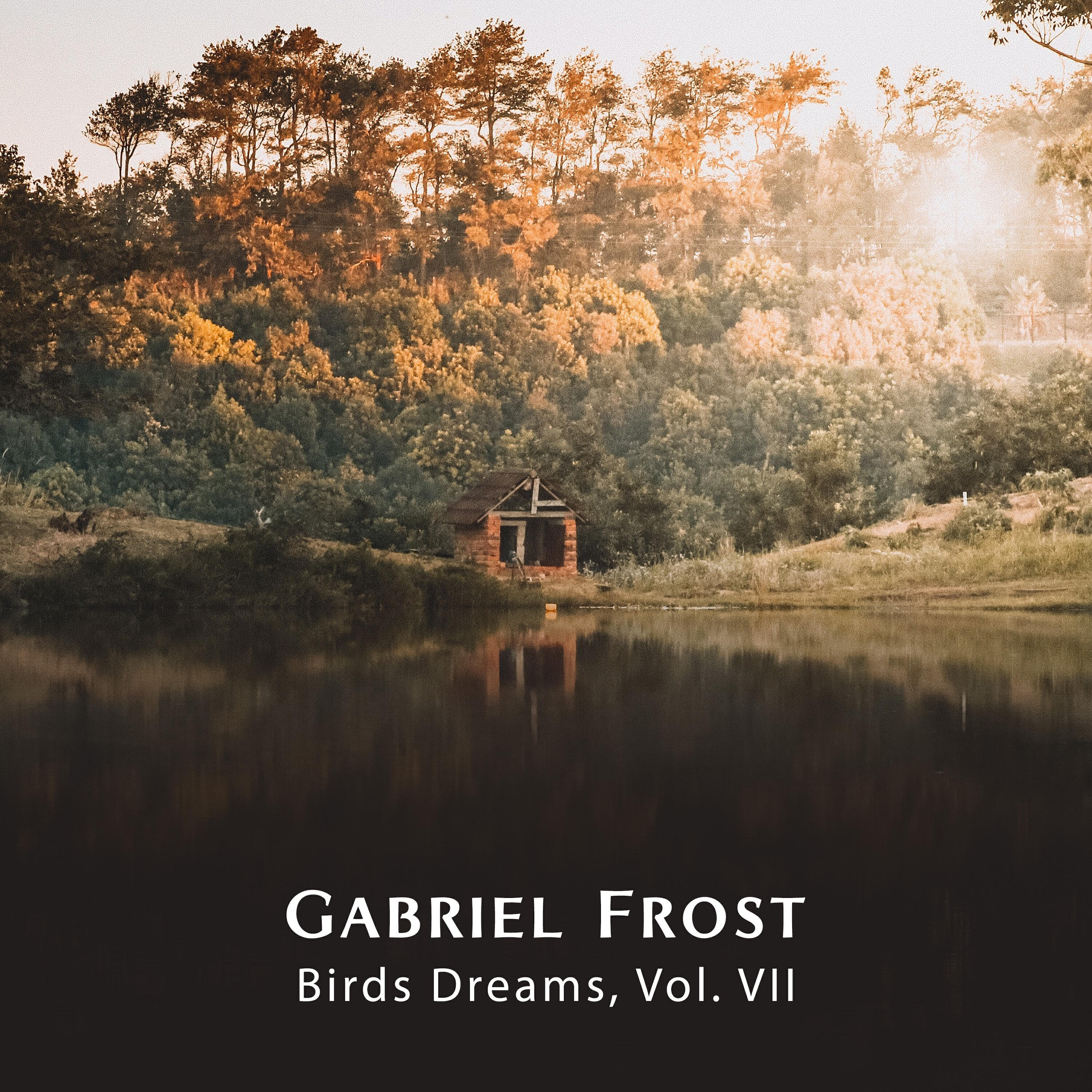 Релиз Birds Dreams, Vol. VII
