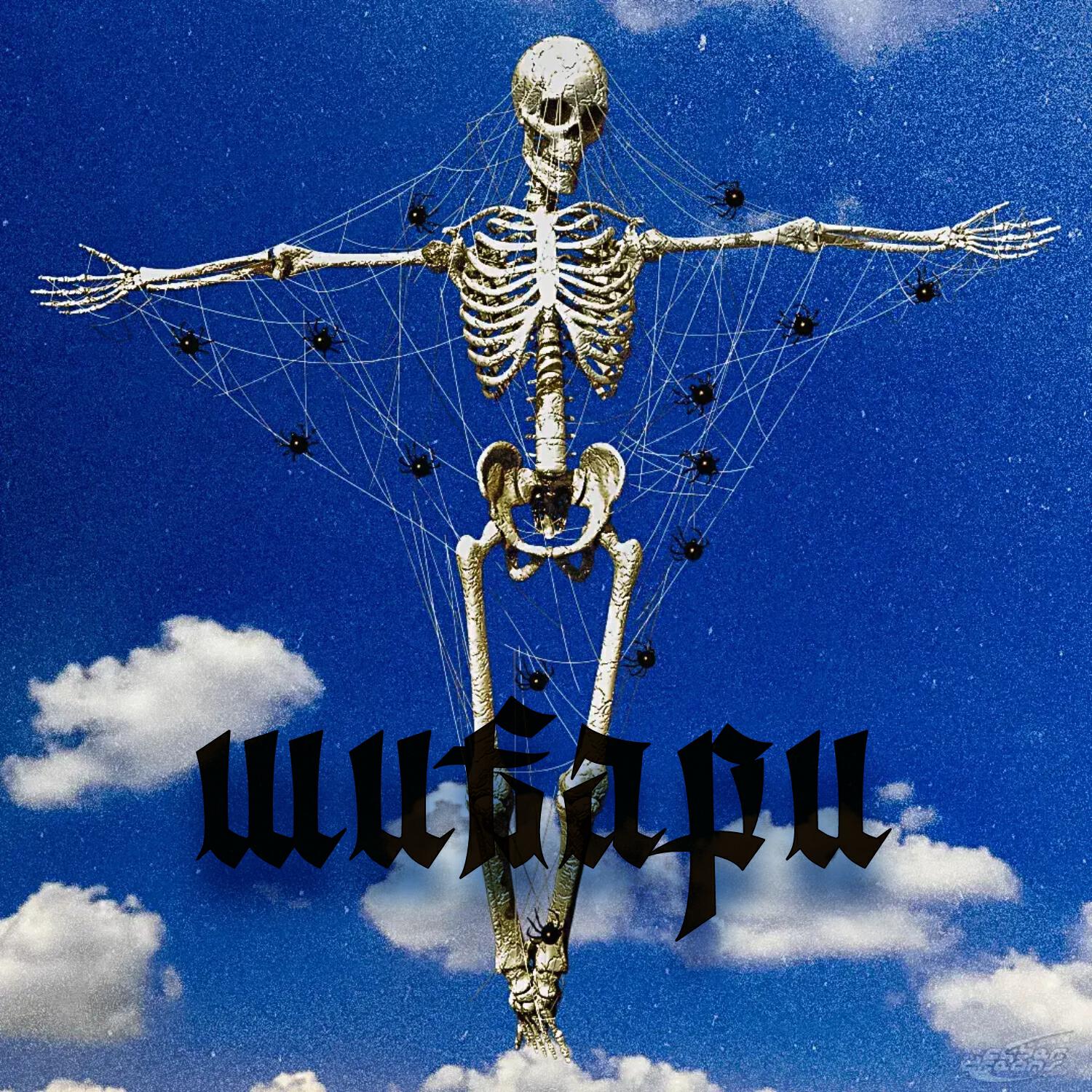 Релиз Шибари