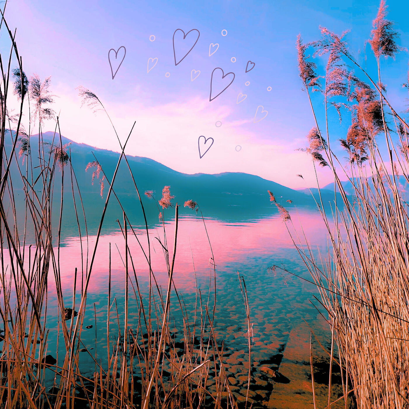 Релиз The Reed Love