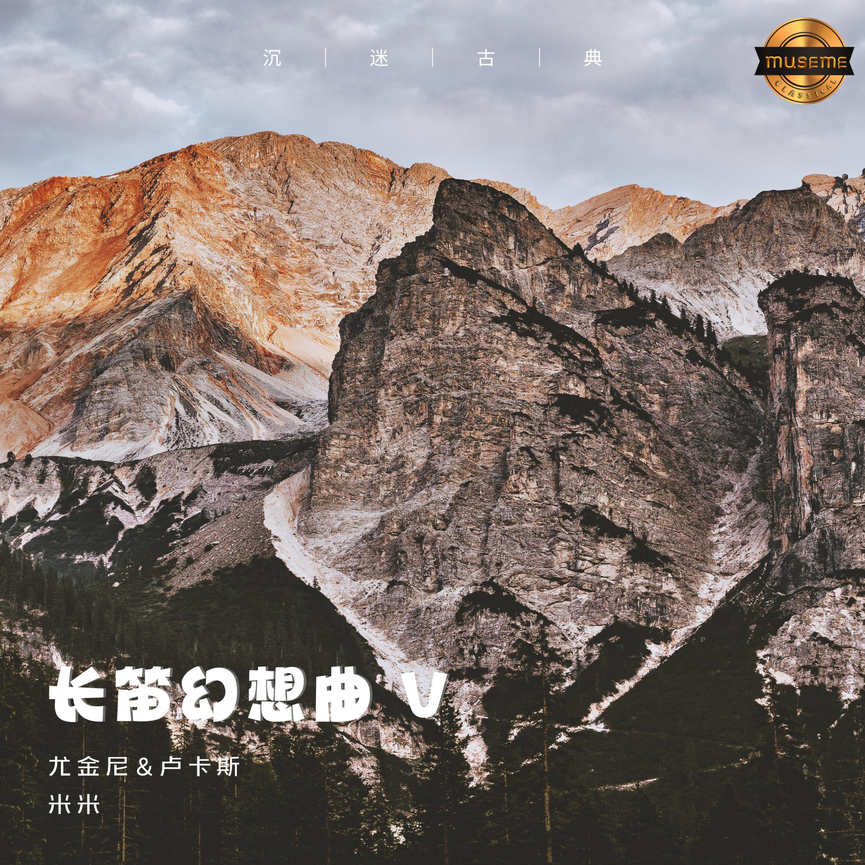 Релиз 长笛幻想曲 V