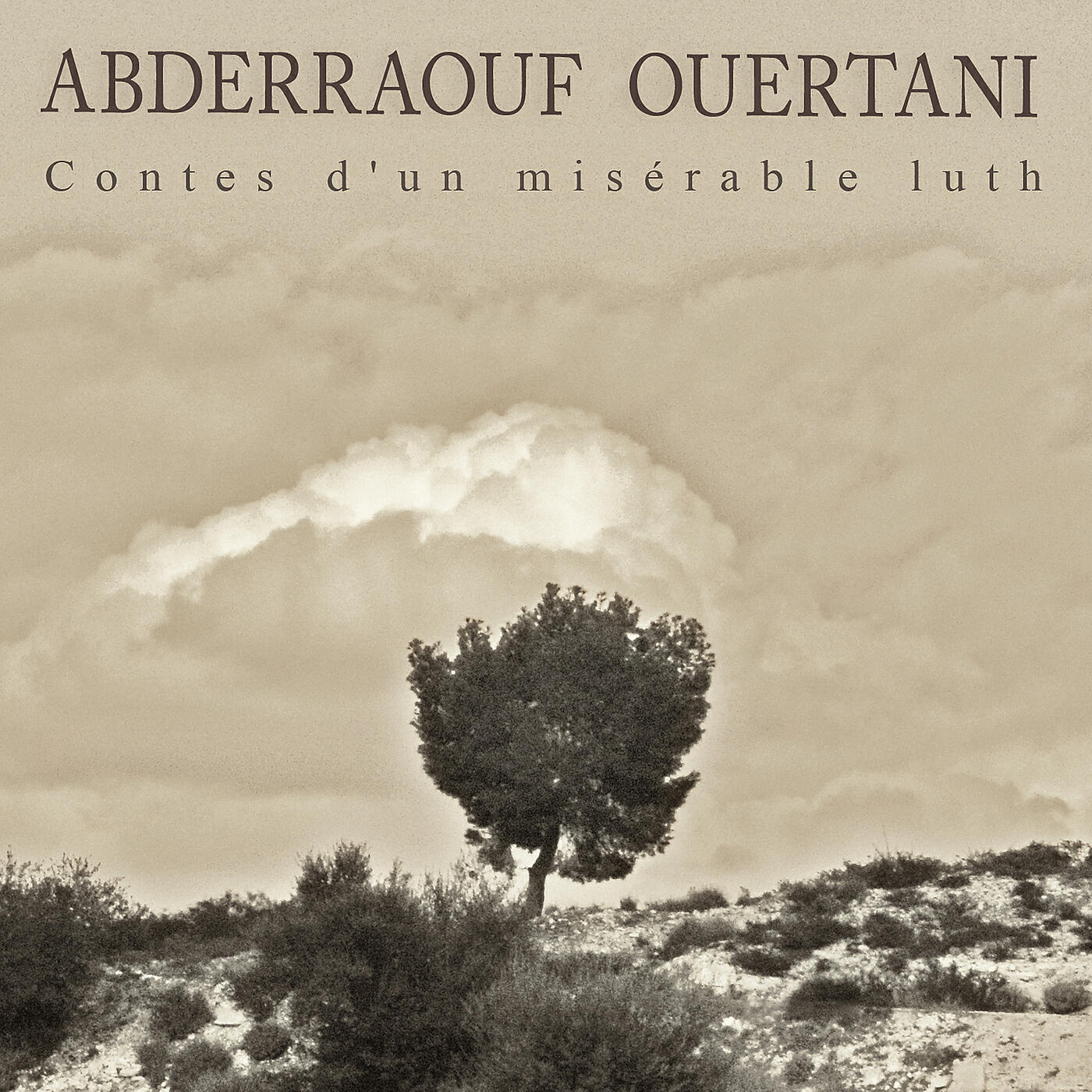 Релиз Contes d'un misérable luth