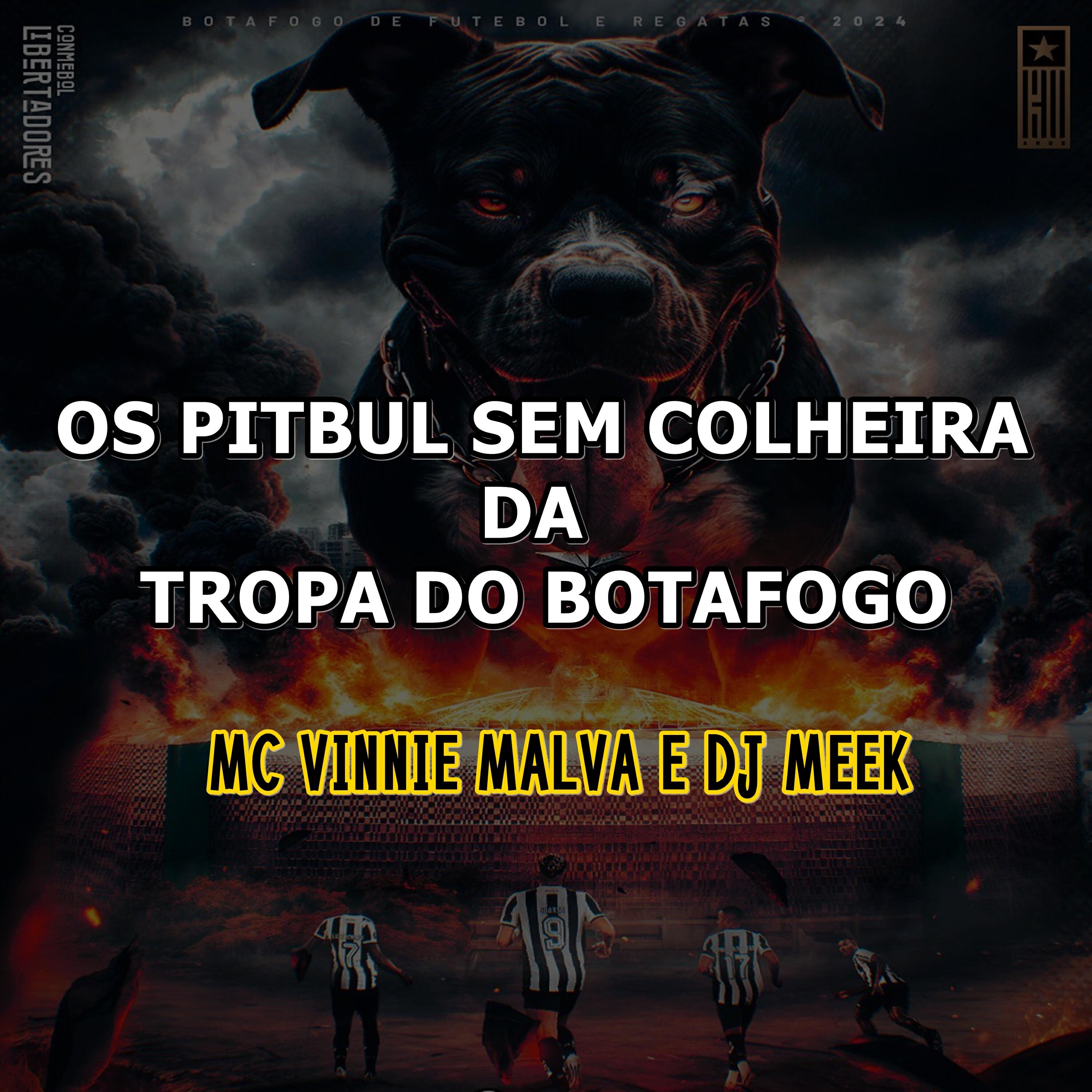 Релиз Os Pitbul Sem Colheira da Tropa do Botafogo