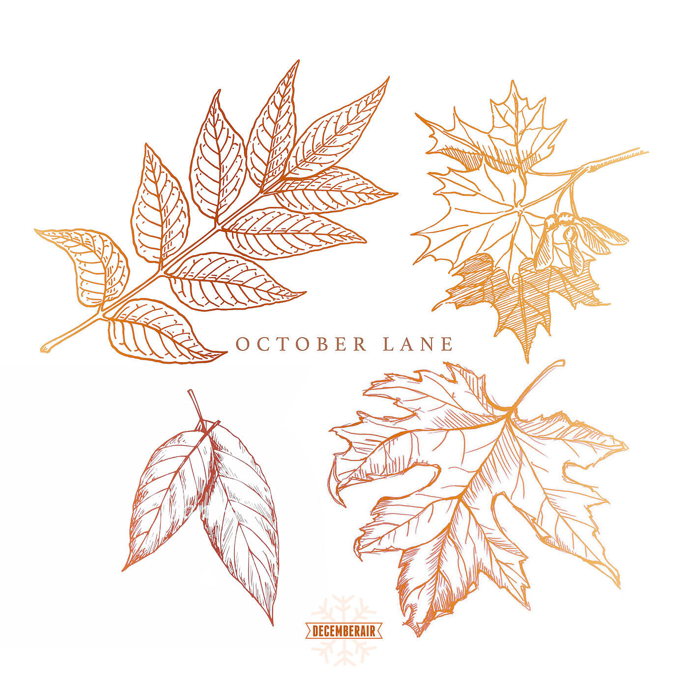 Релиз October Lane