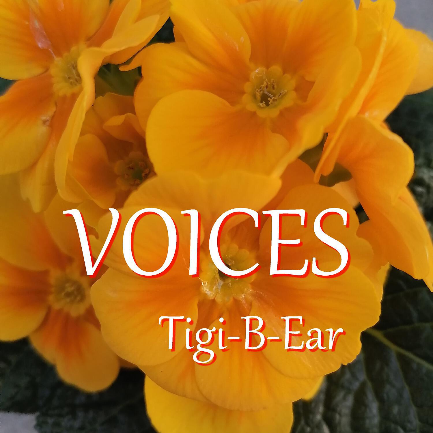 Релиз Voices