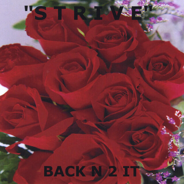 Релиз Back N 2 It