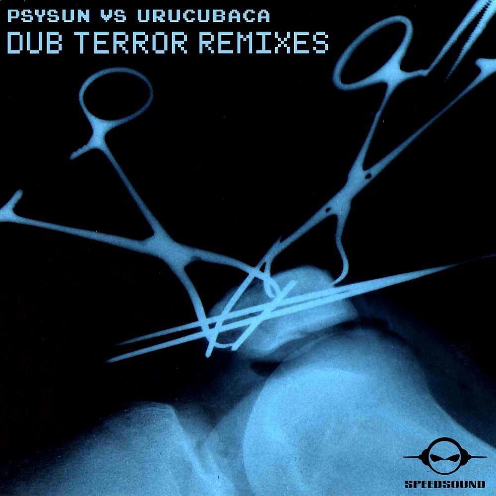 Релиз Dub Terror Remixes