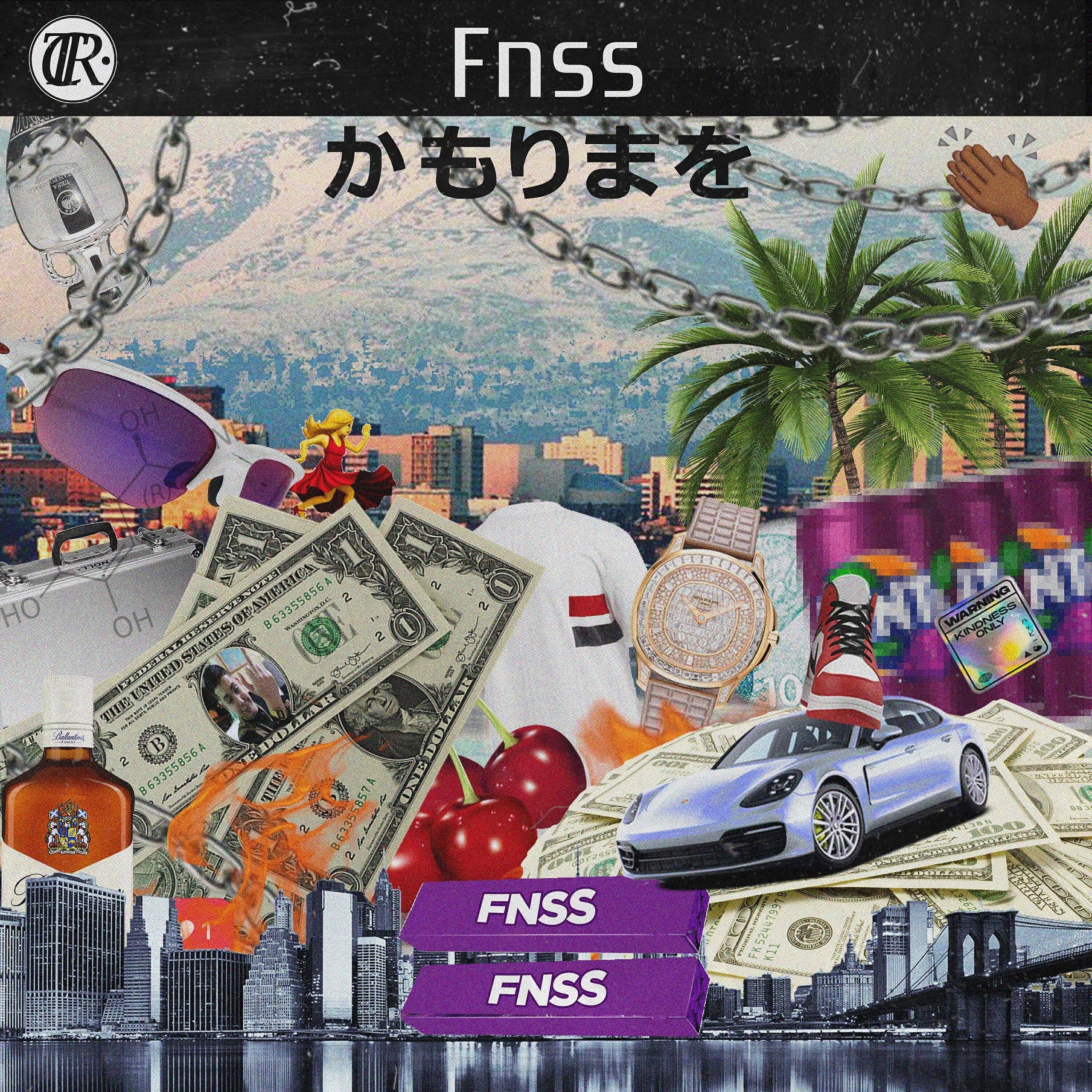 Релиз FNSS