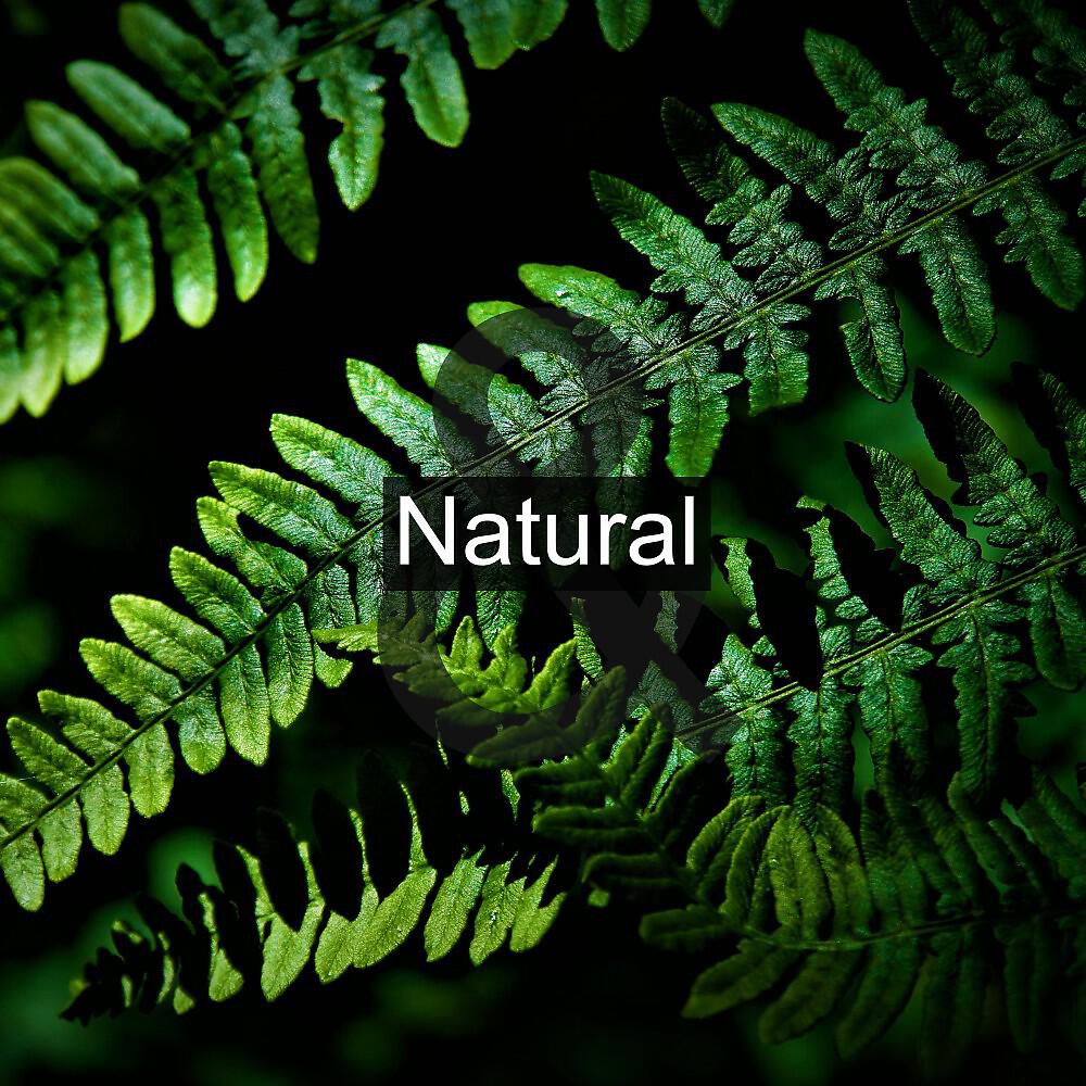 Nature Sounds Relaxation