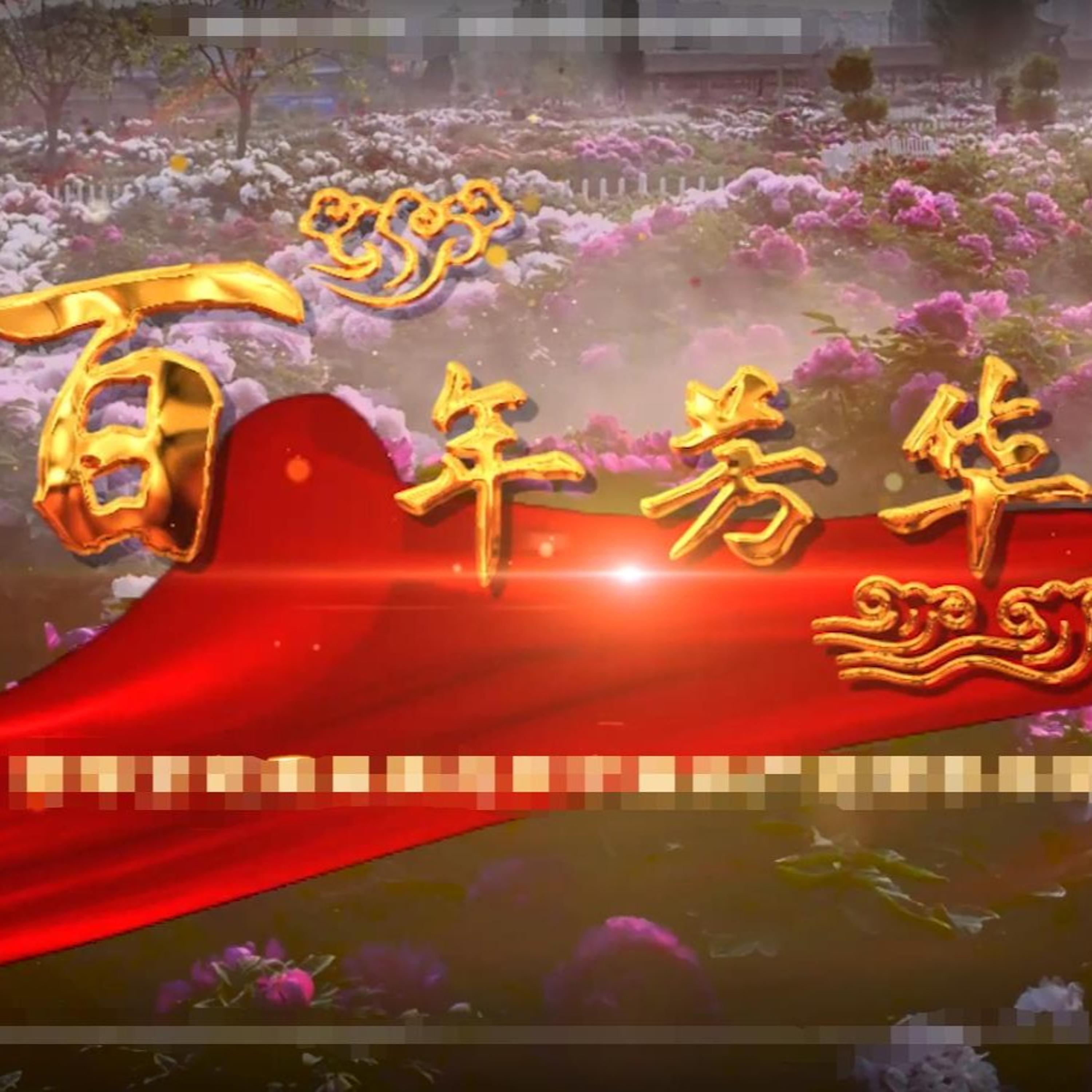Релиз 百年芳华