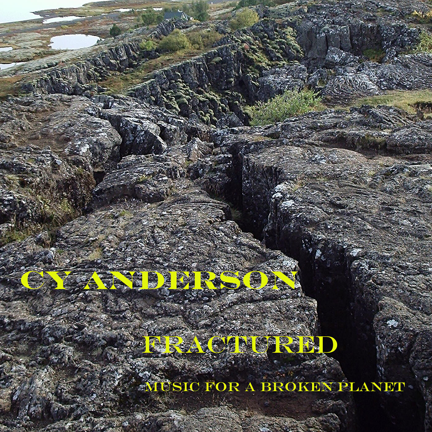 Cy Anderson