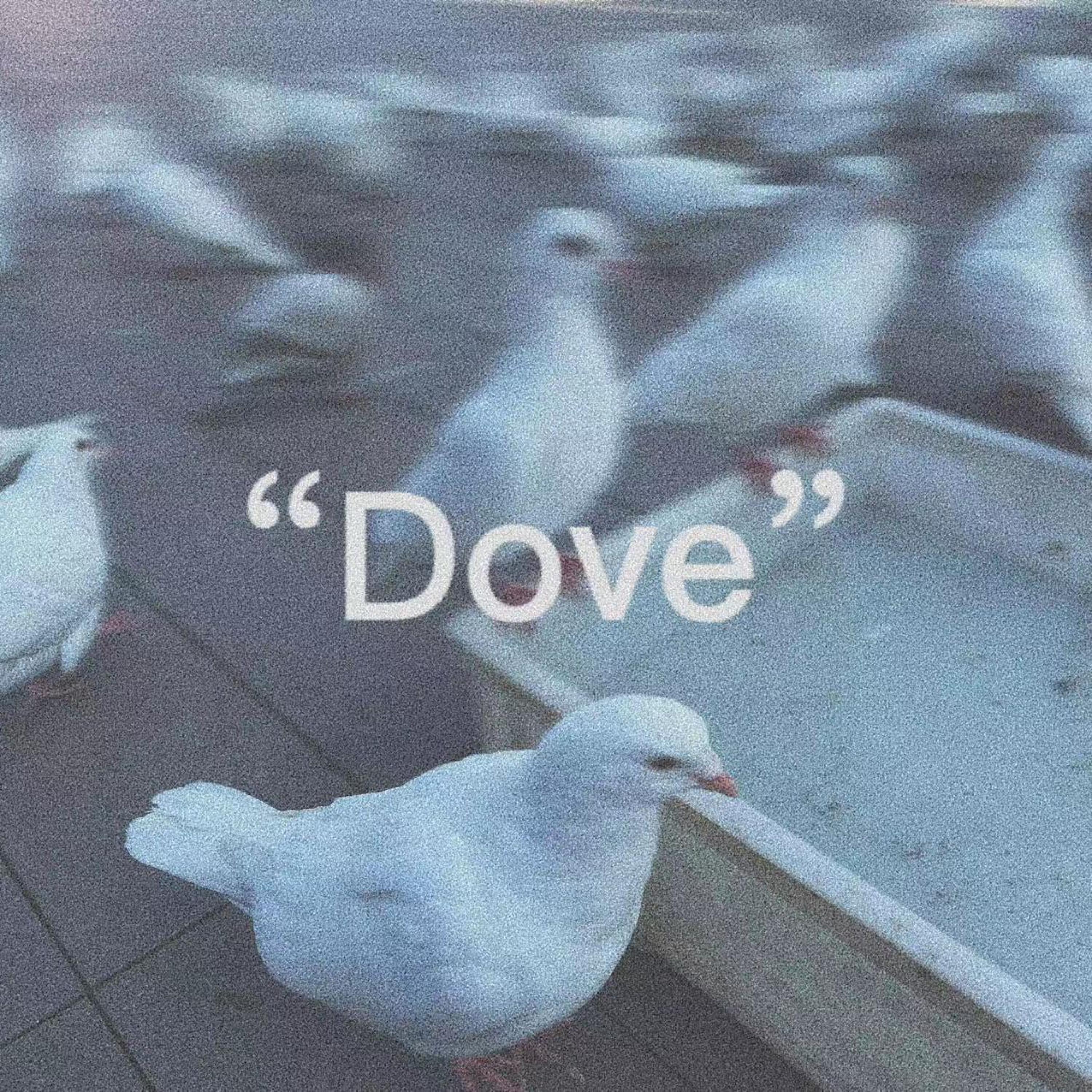 Релиз Dove