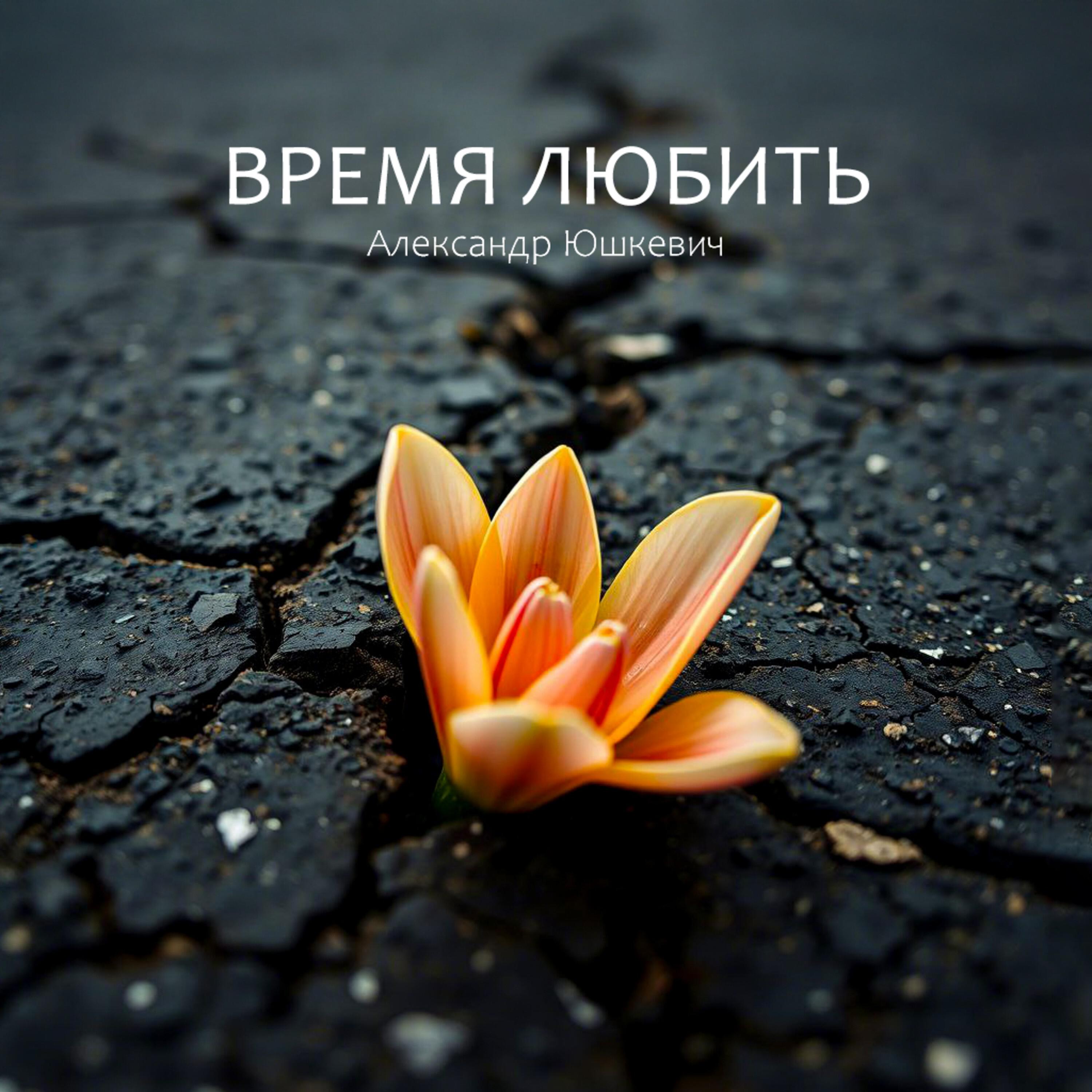 Релиз Время любить