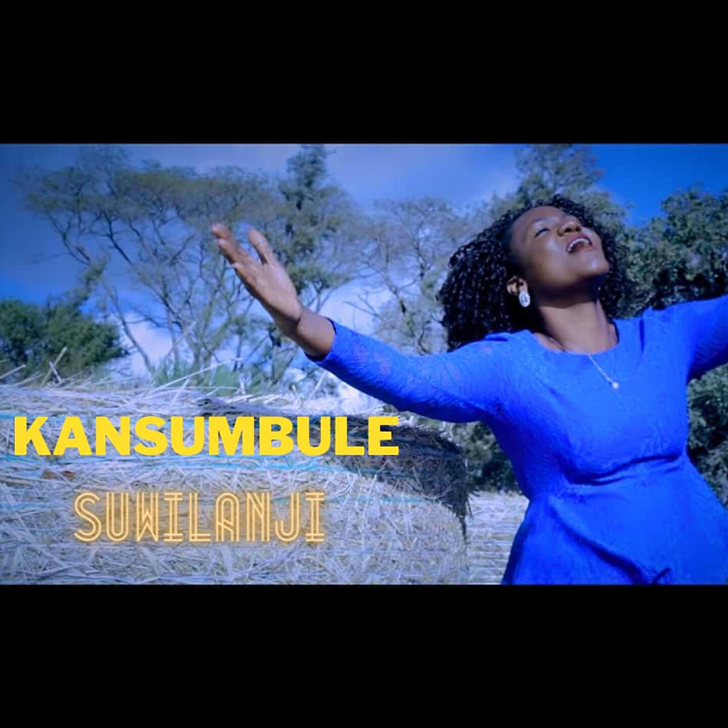 Релиз Kansumbule
