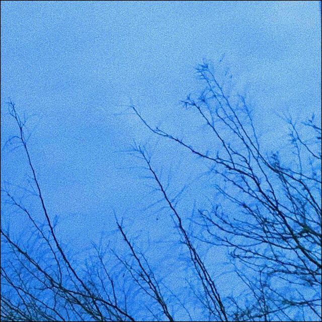 Релиз My December