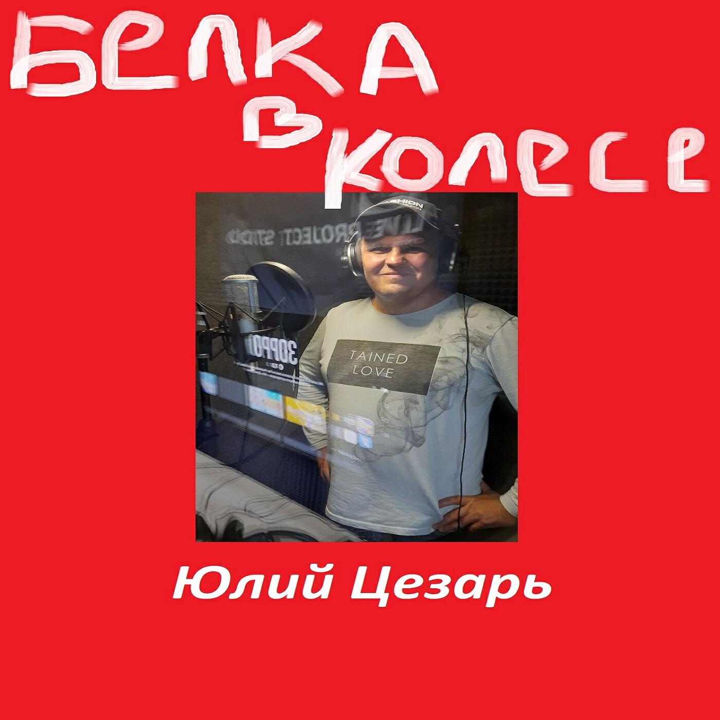 Релиз Белка в колесе