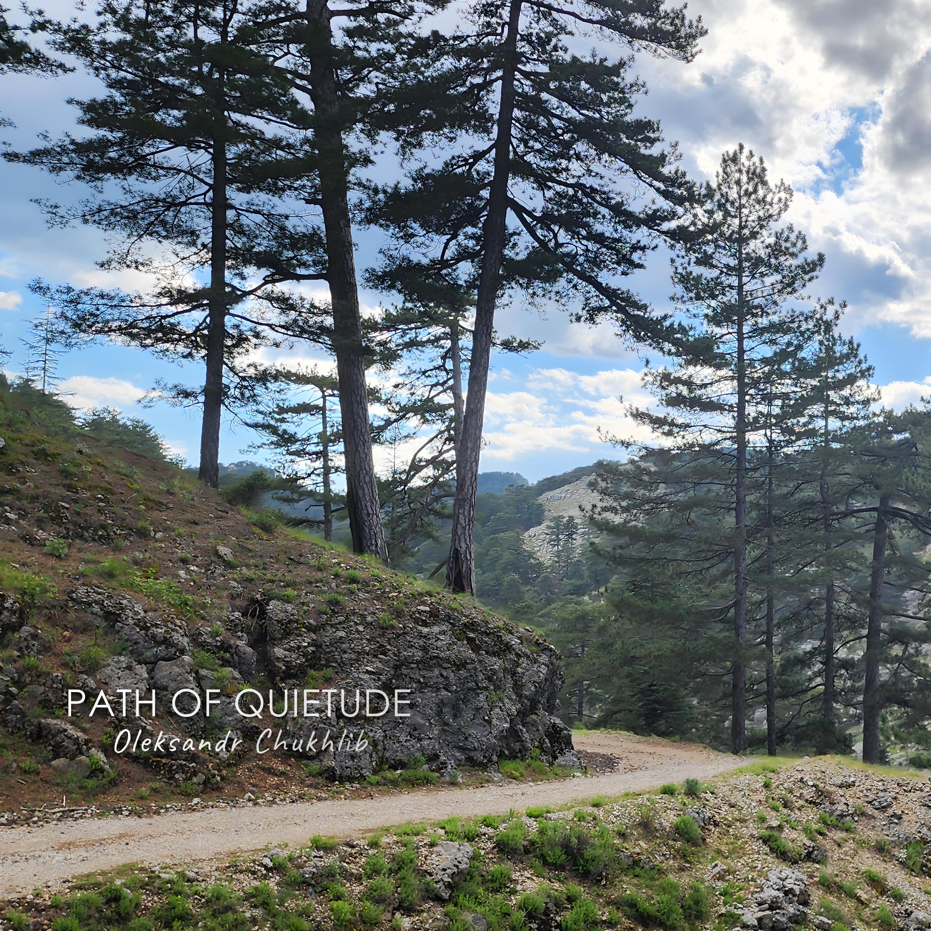 Релиз Path of Quietude