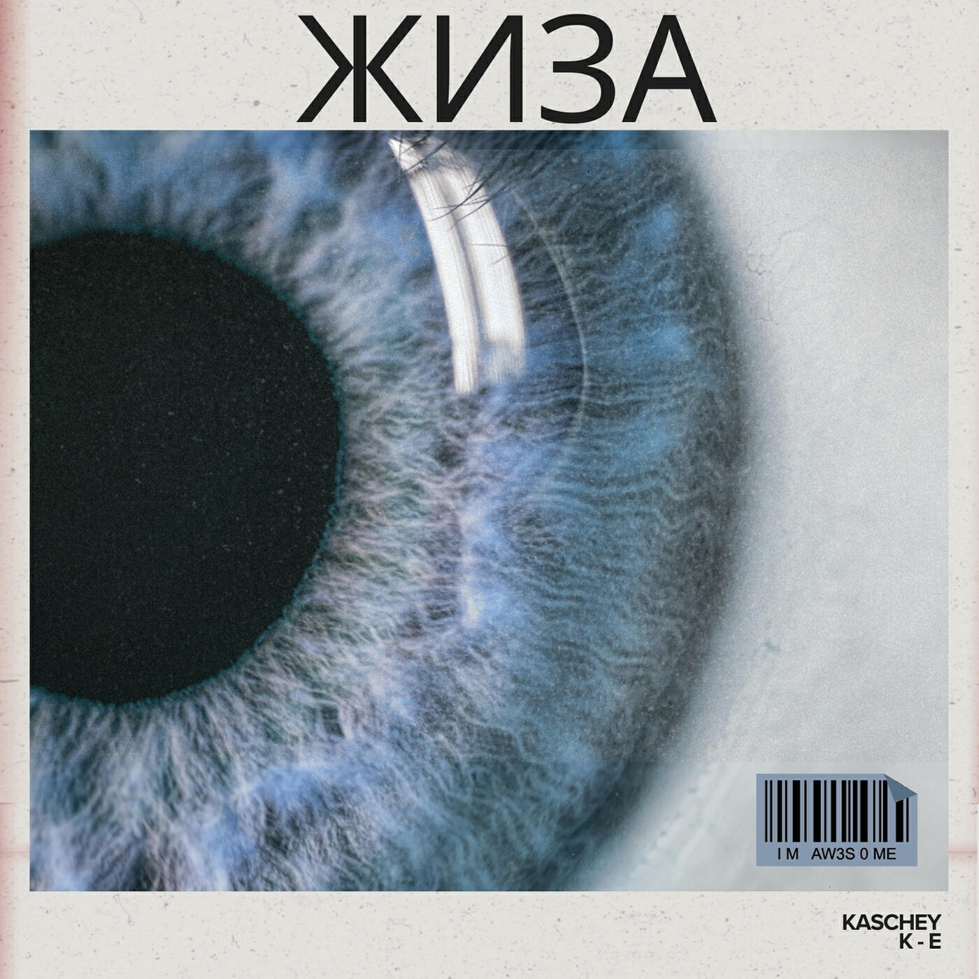 Релиз Жиза