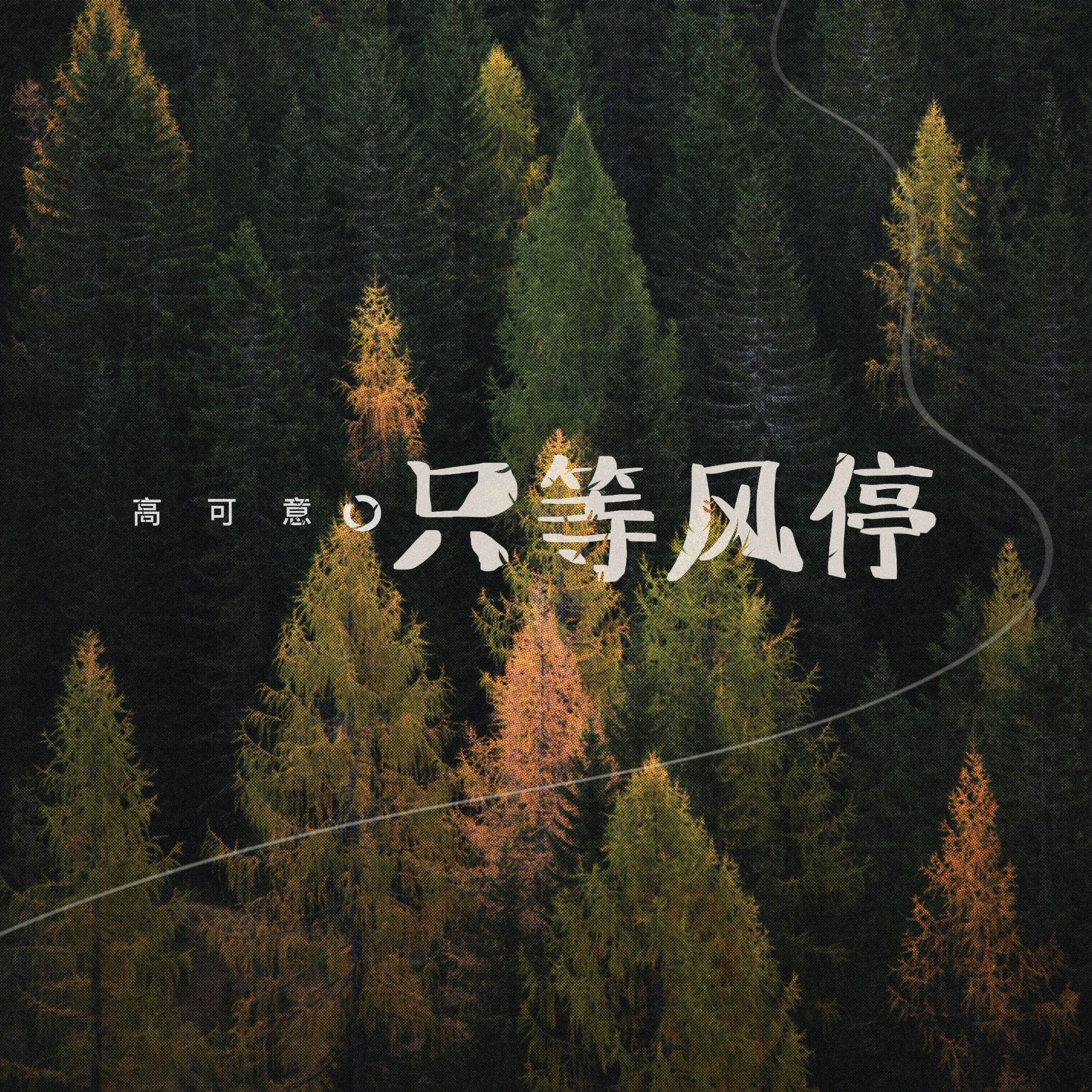 Релиз 只等风停