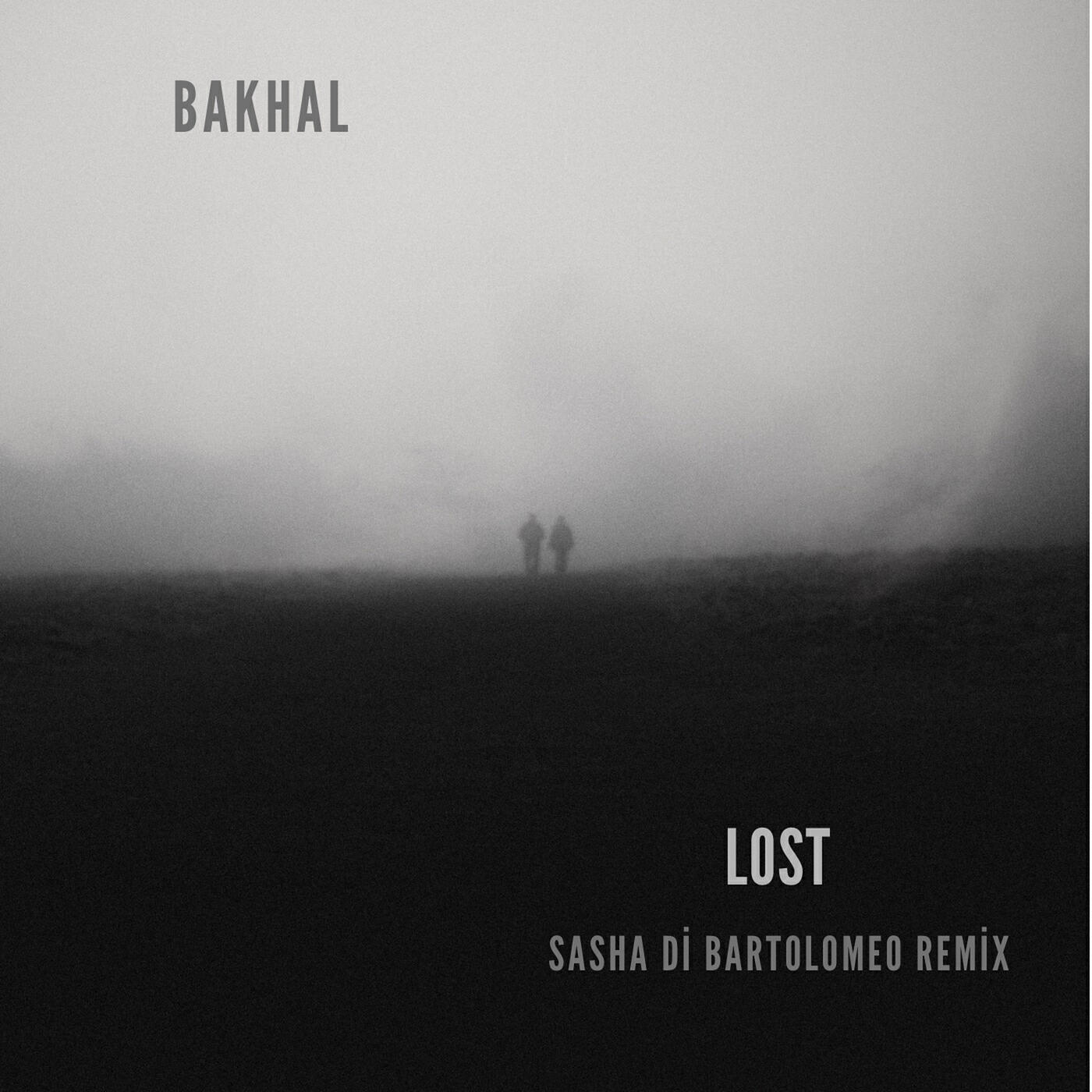 Релиз Lost (Sasha Di Bartolomeo Remix)