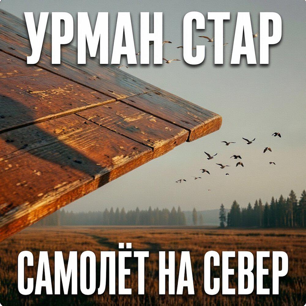 Релиз Самолёт на север