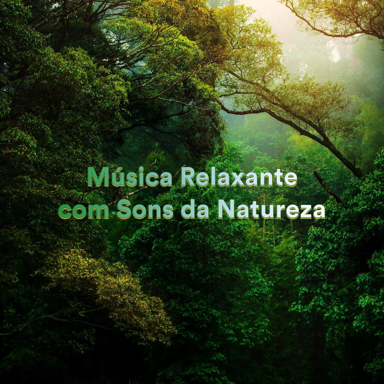 Релиз Música Relaxante Com Sons da Natureza