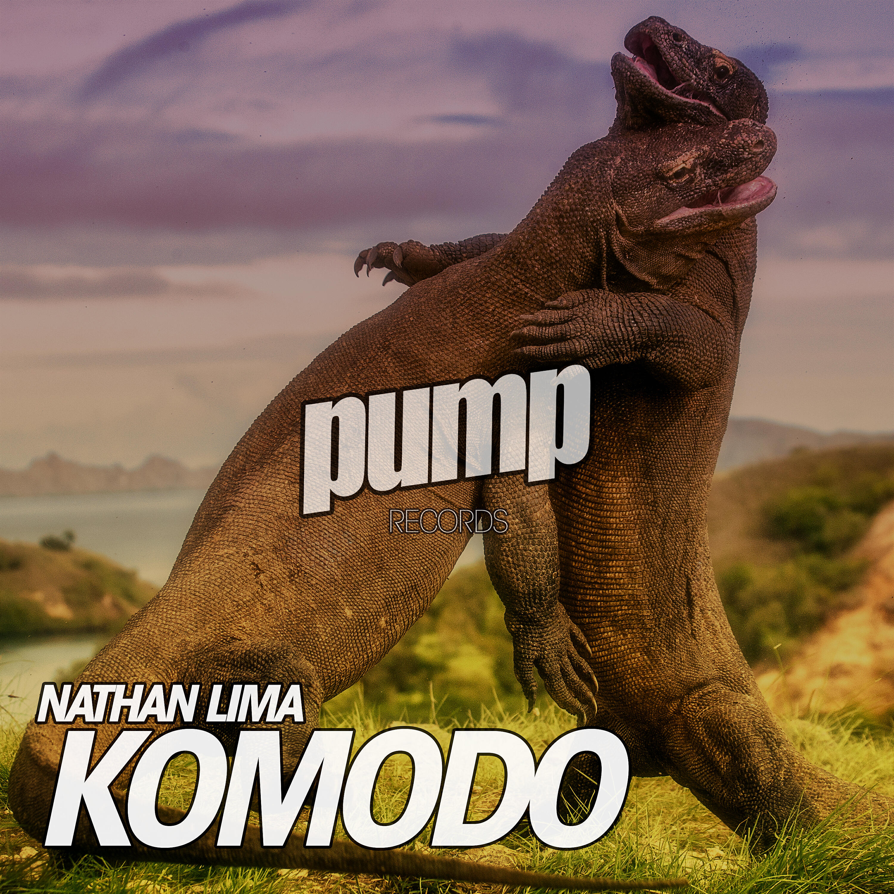 Релиз Komodo