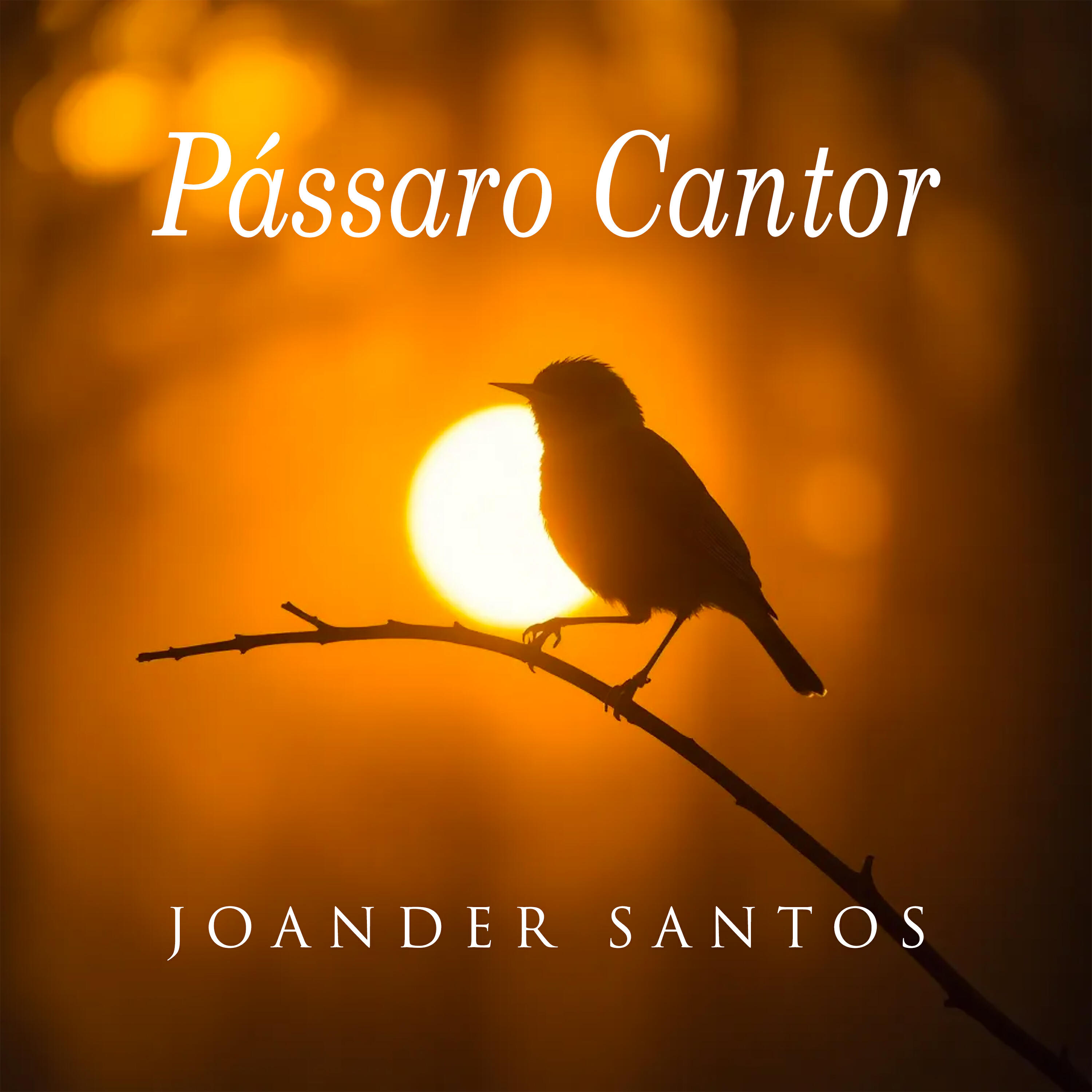 Joander Santos