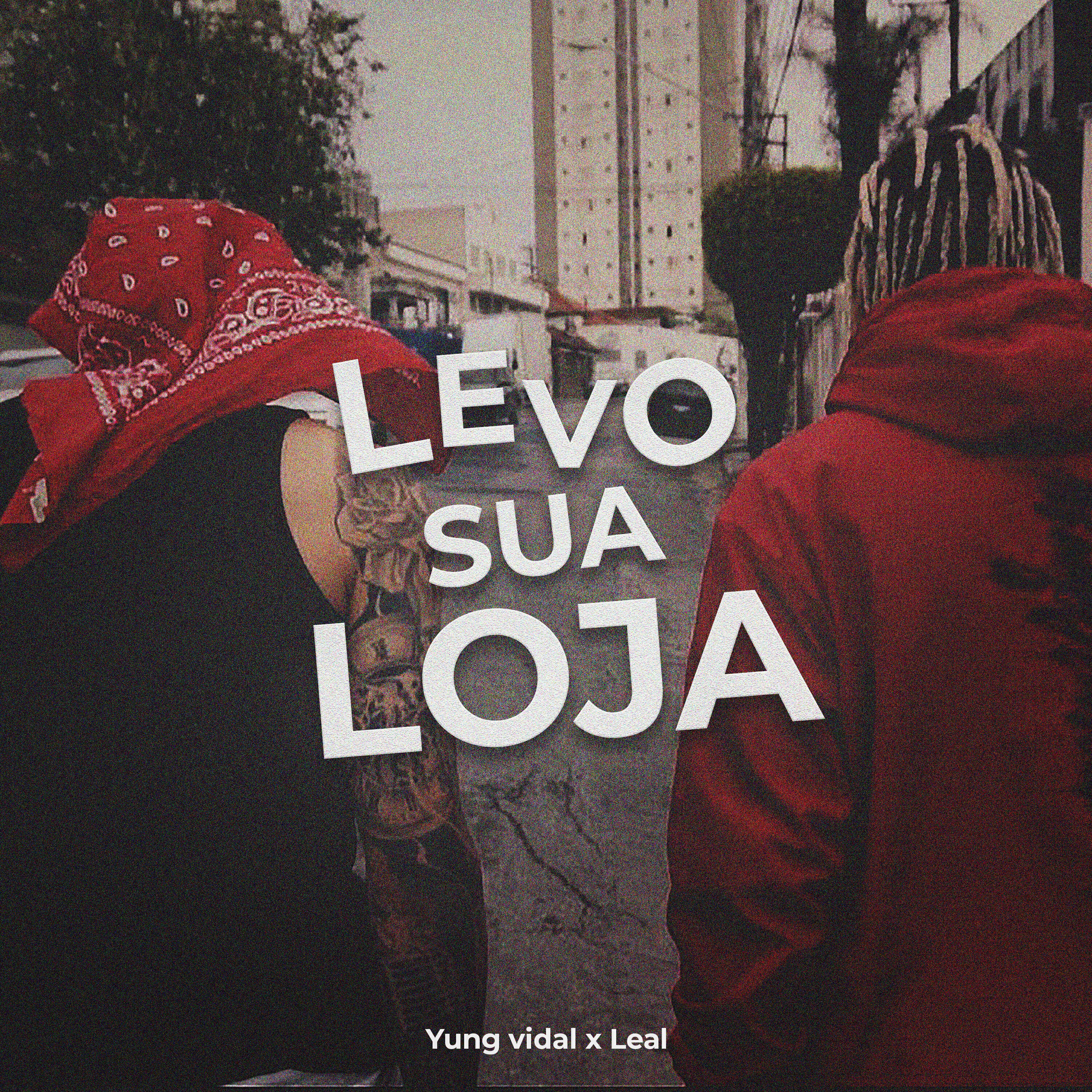 Релиз Levo Sua Loja