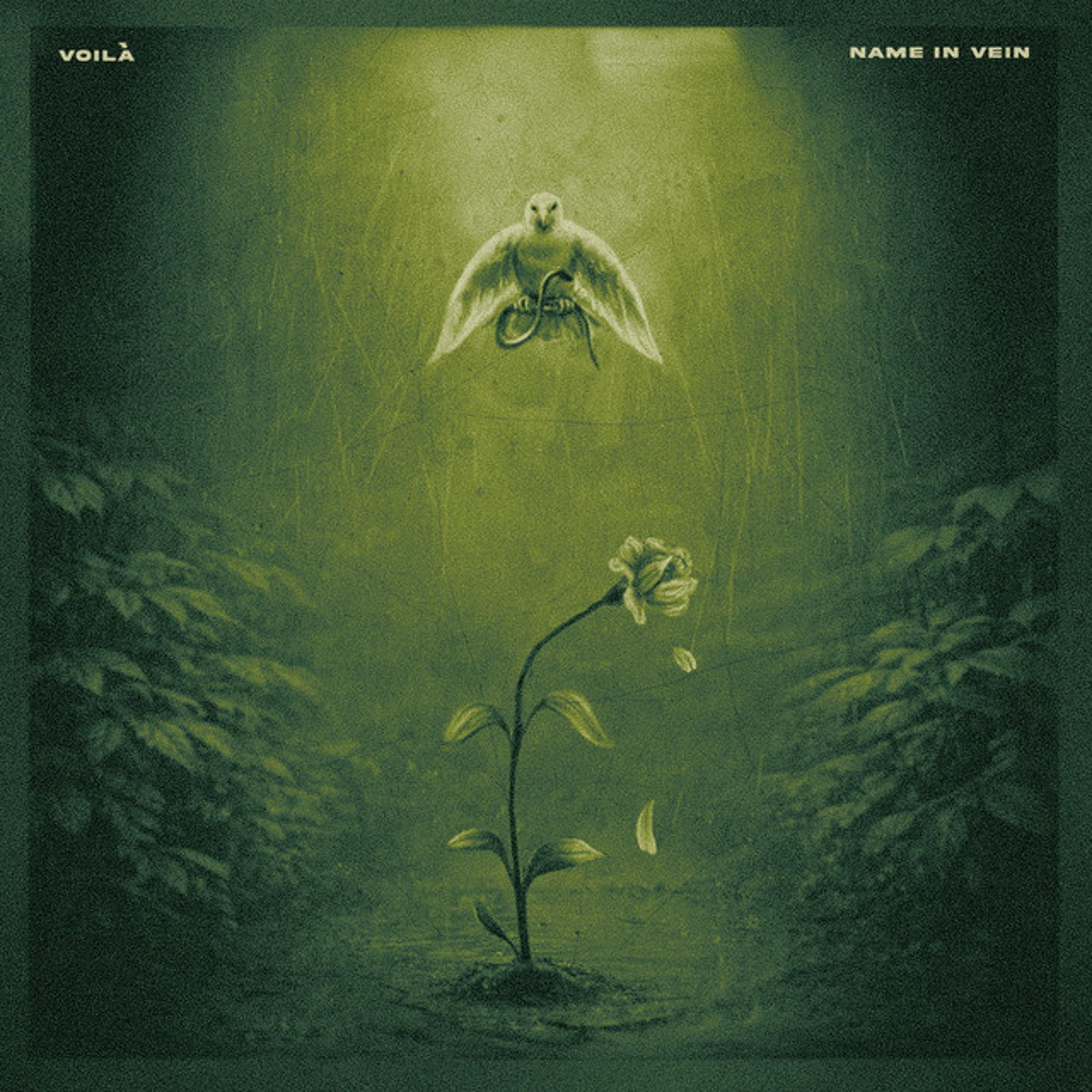 Релиз Name in Vein