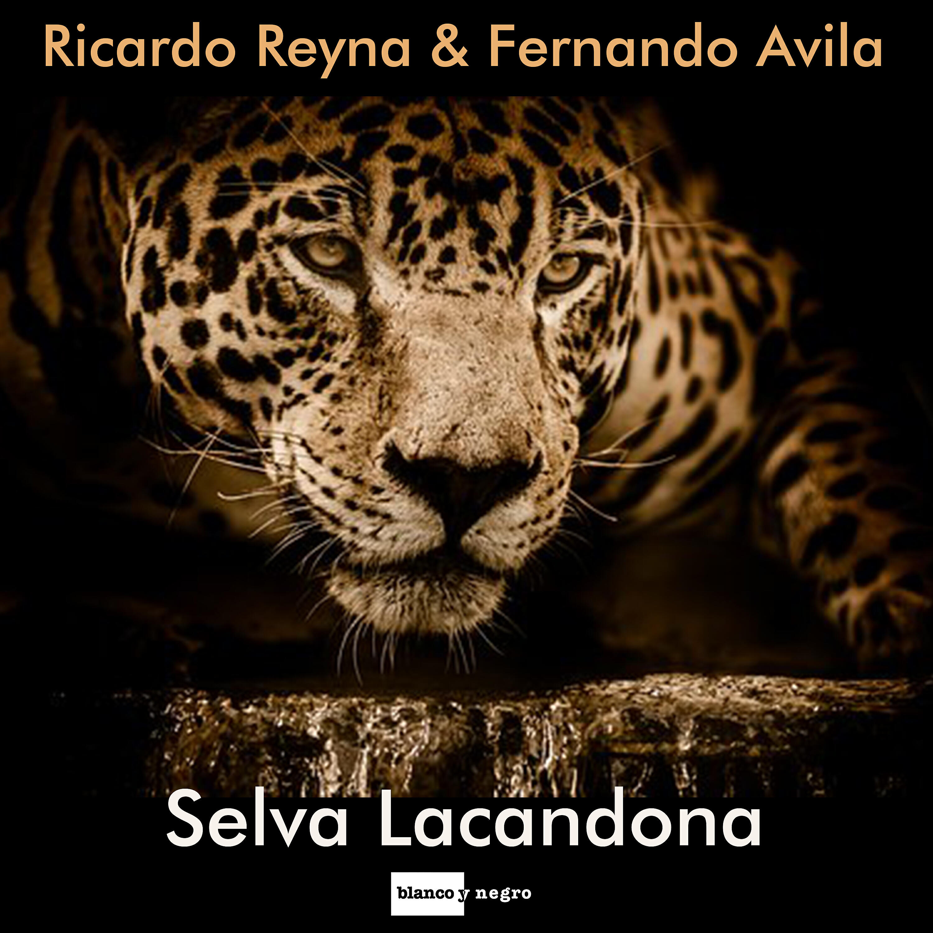 Скачать песню Ricardo Reyna, Fernando Avila - Selva Lacandona бесплатно в MP3 для Android и iOS