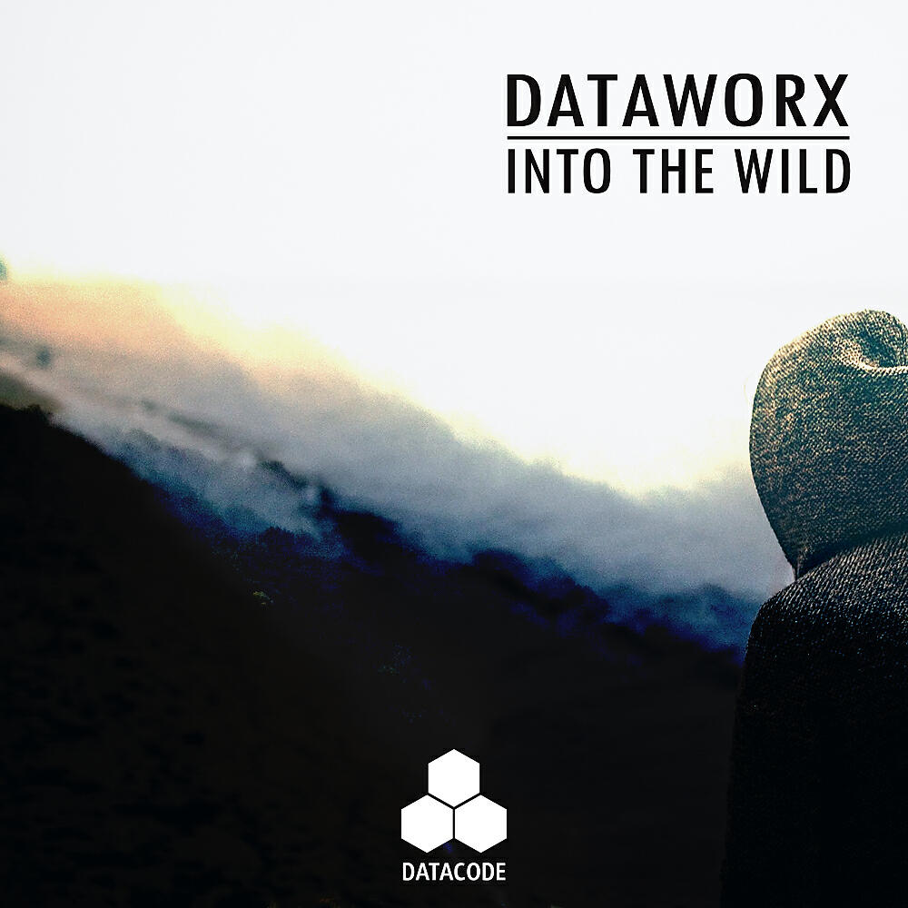 Релиз Into The Wild