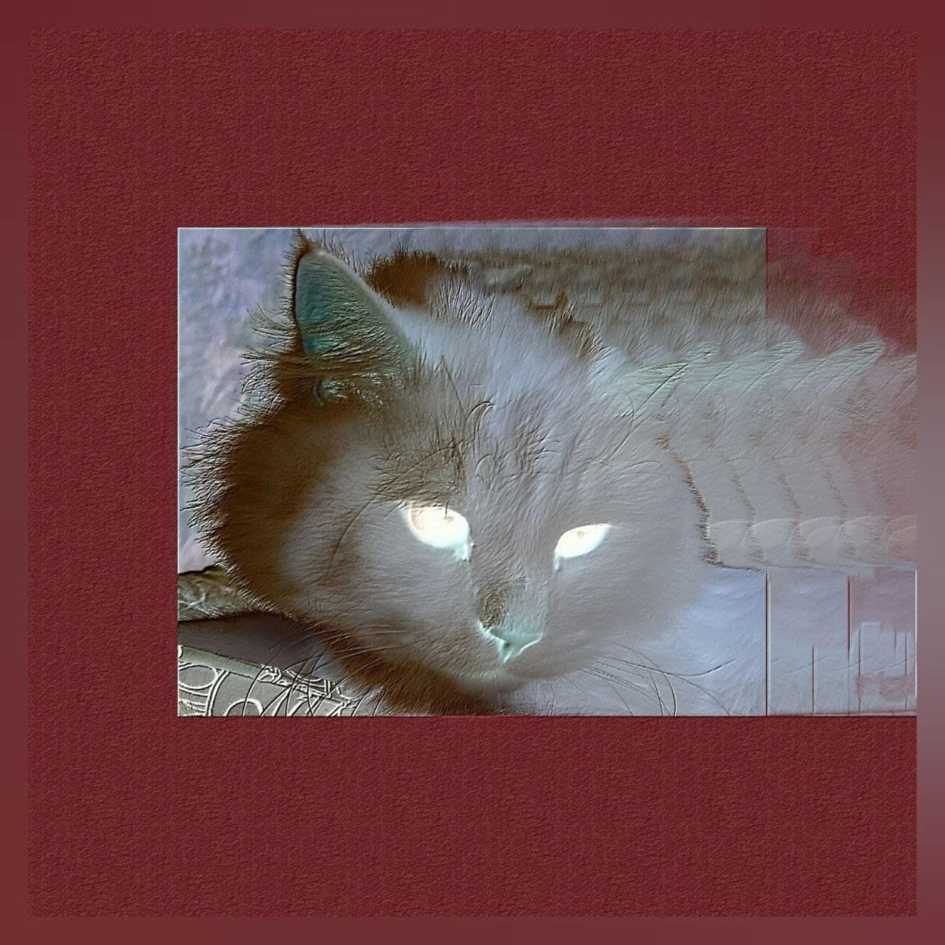 Релиз 2021