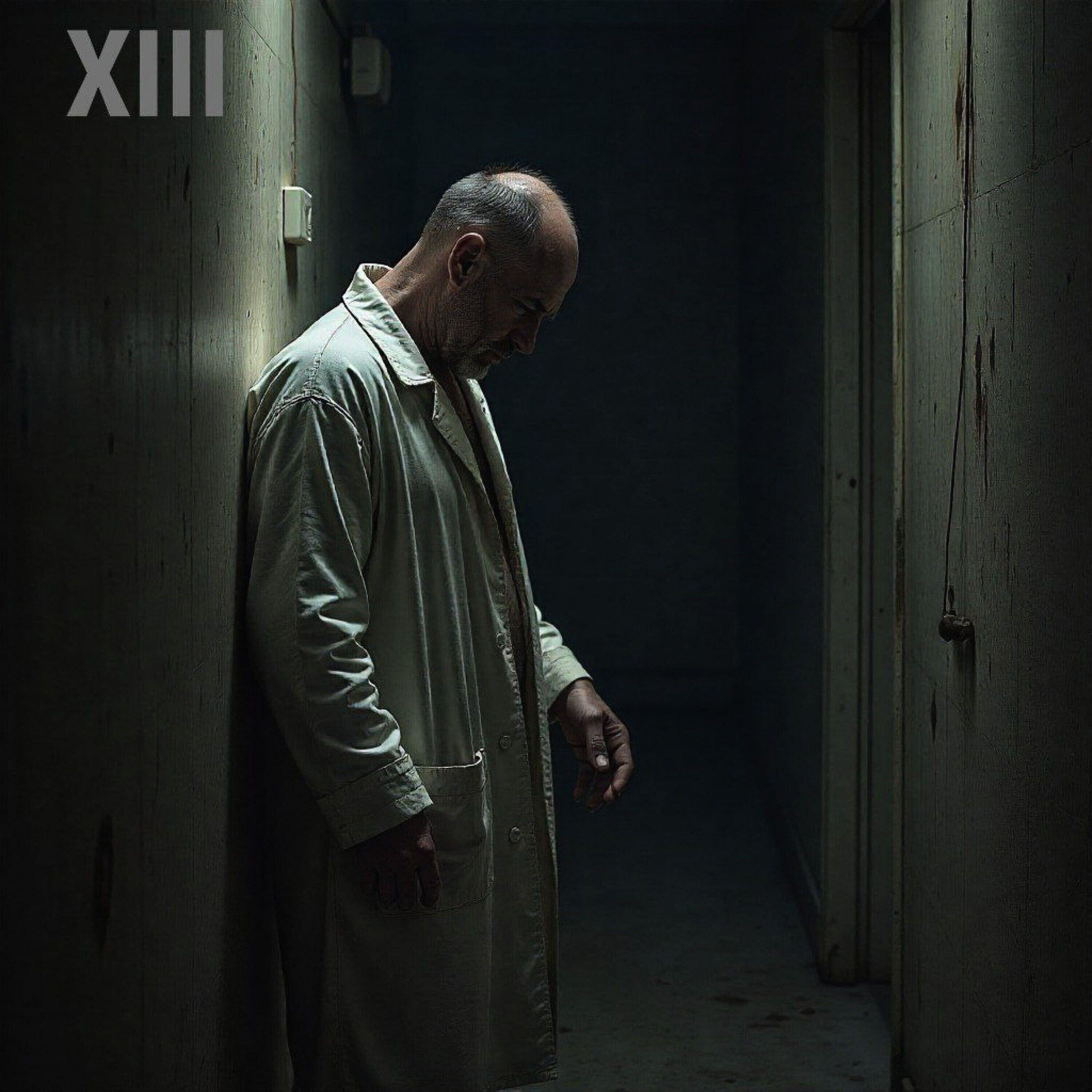 Релиз XIII