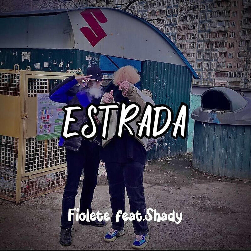 Постер альбома ESTRADA prod. by ev1ltw