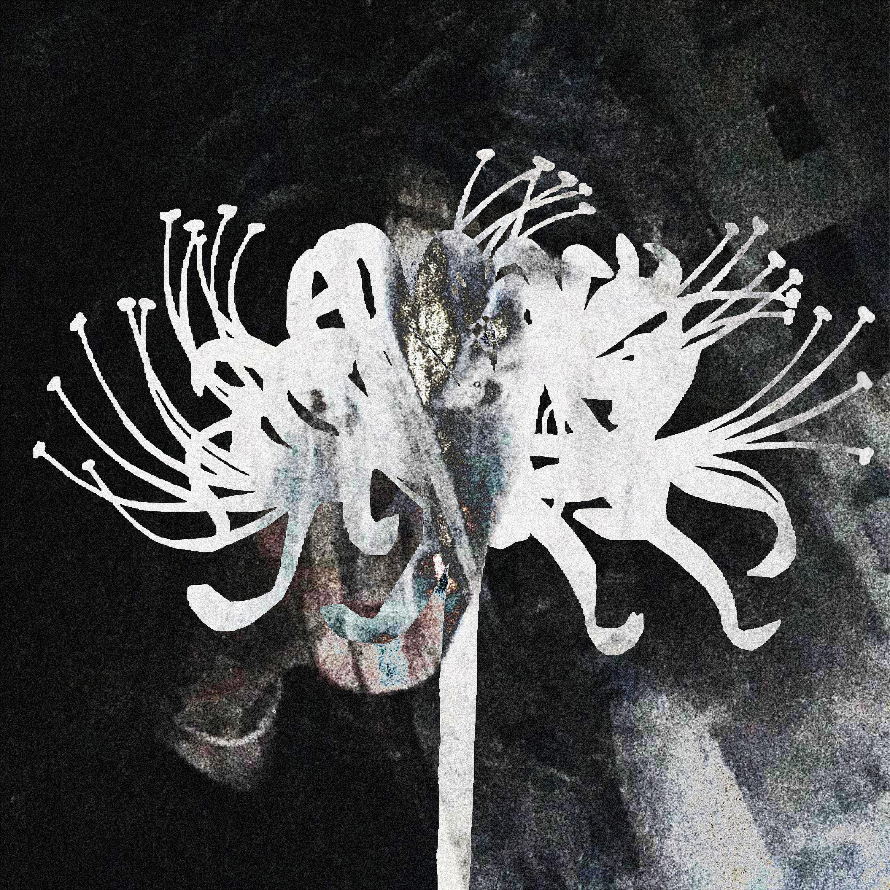 Релиз hurricane lilies