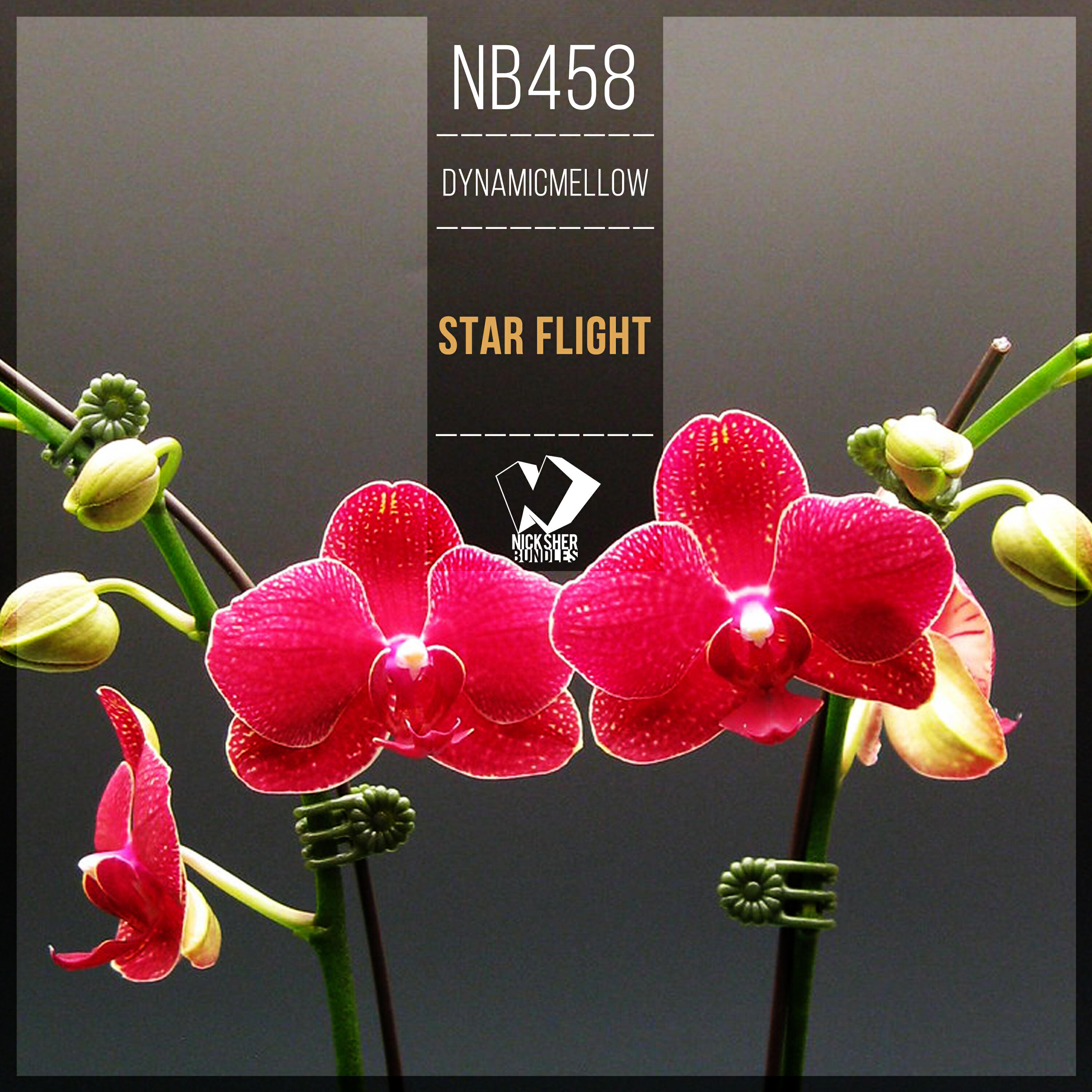 Релиз Star Flight