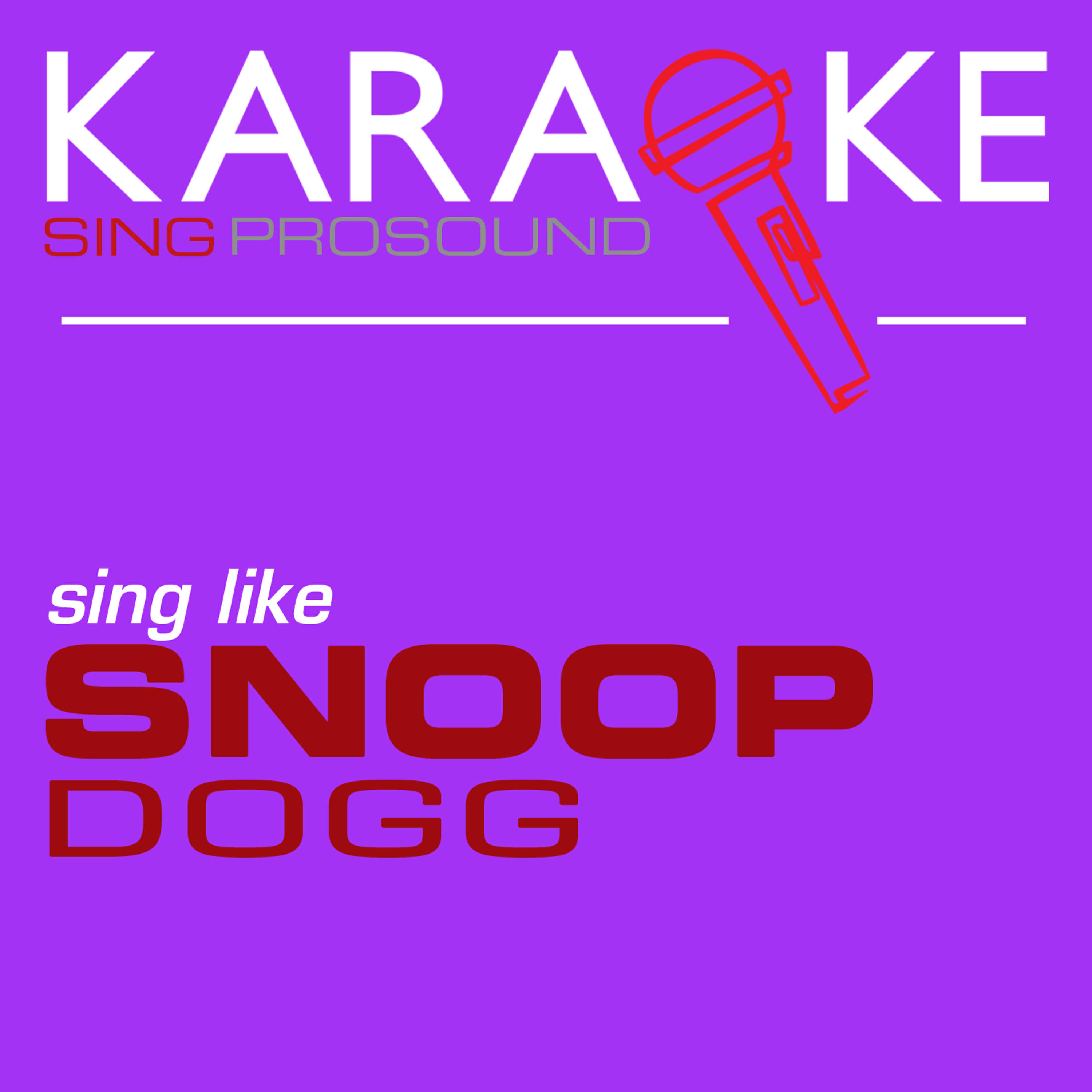 Релиз Karaoke in the Style of Snoop Dogg