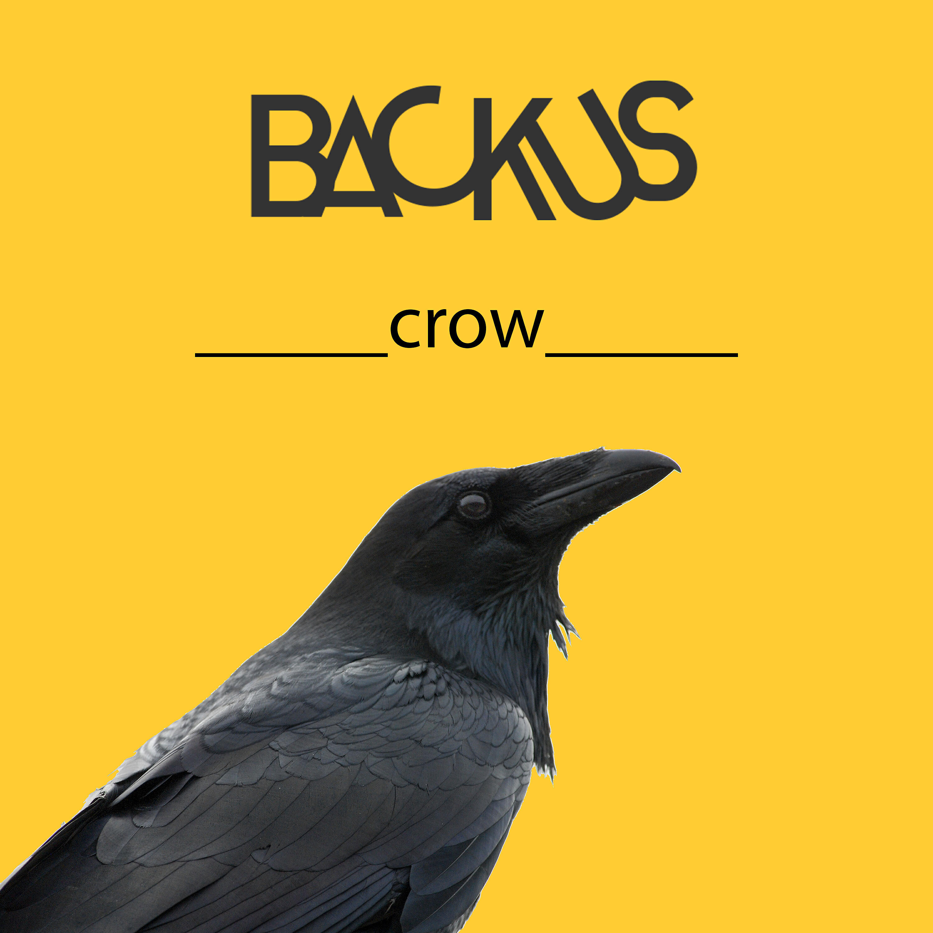 Релиз Crow