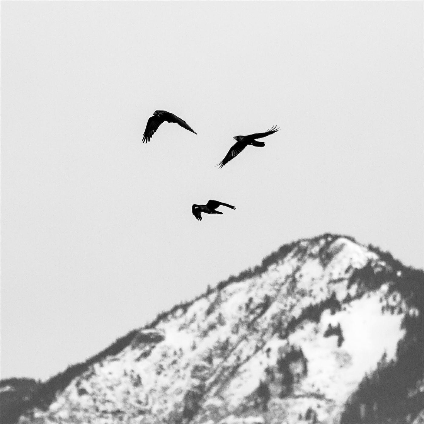Релиз All In - EP