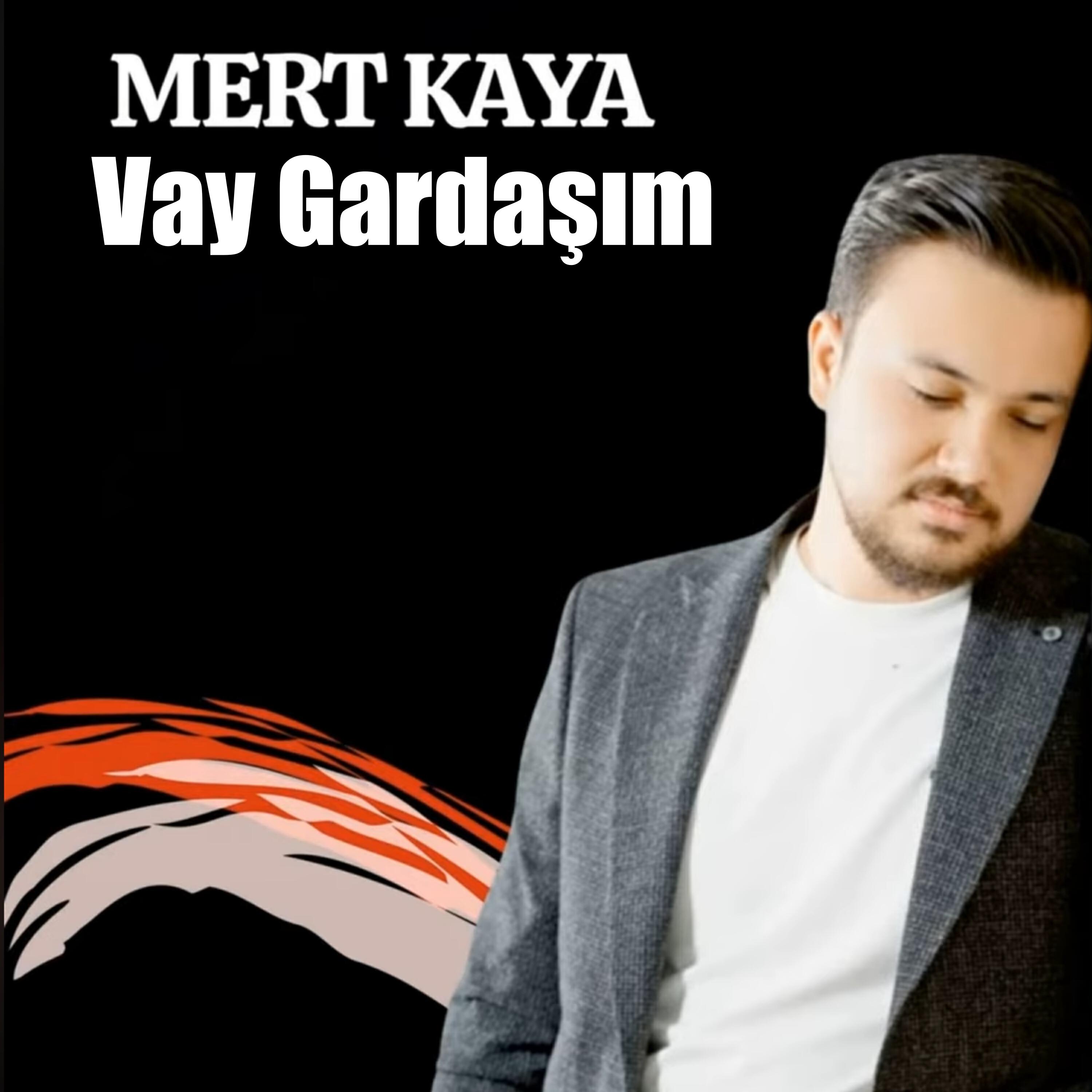 Релиз Vay Gardaşım