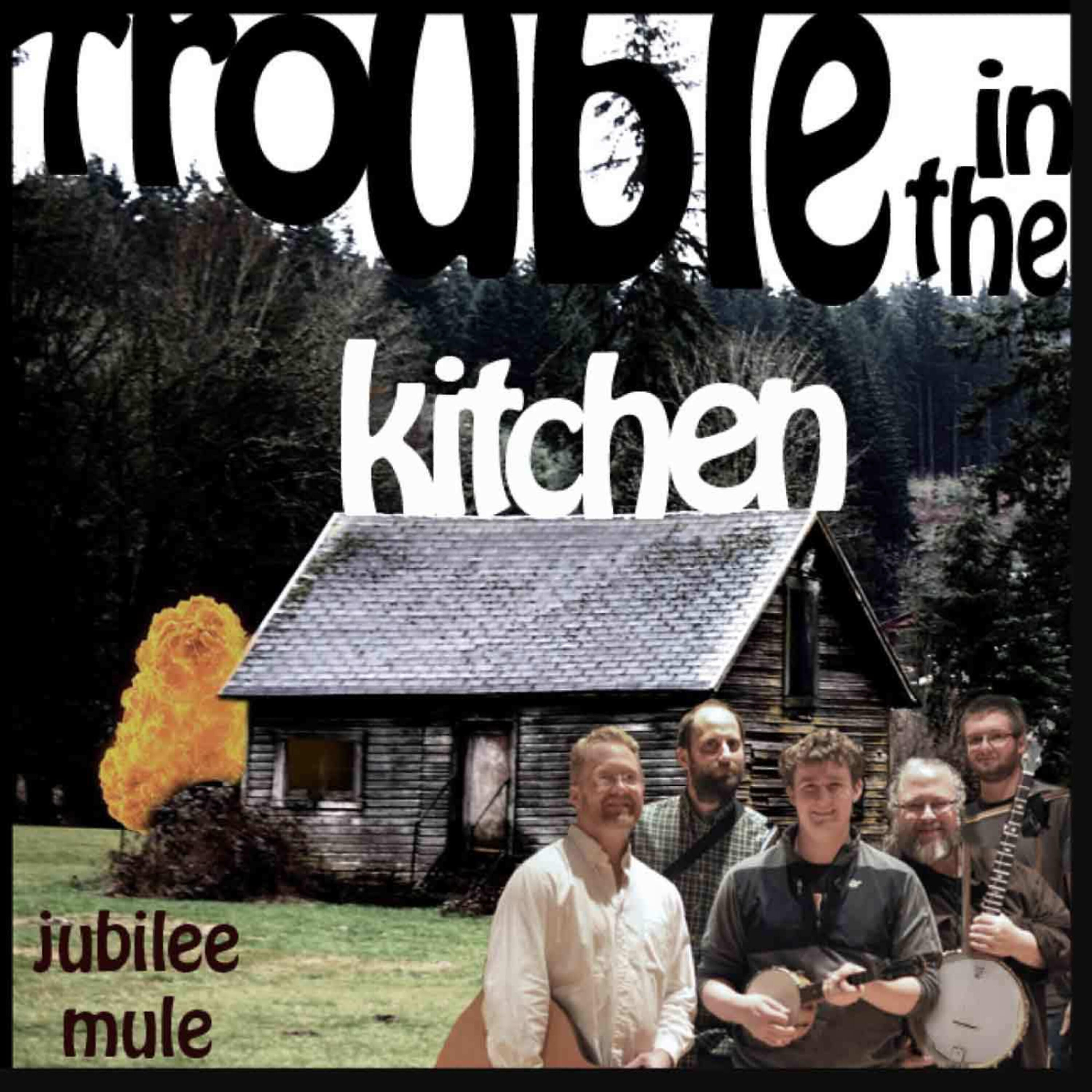 Jubilee Mule