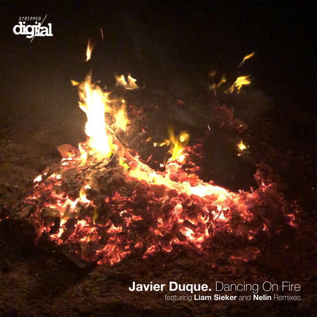 Релиз Dancing on Fire (Liam Sieker Remix)