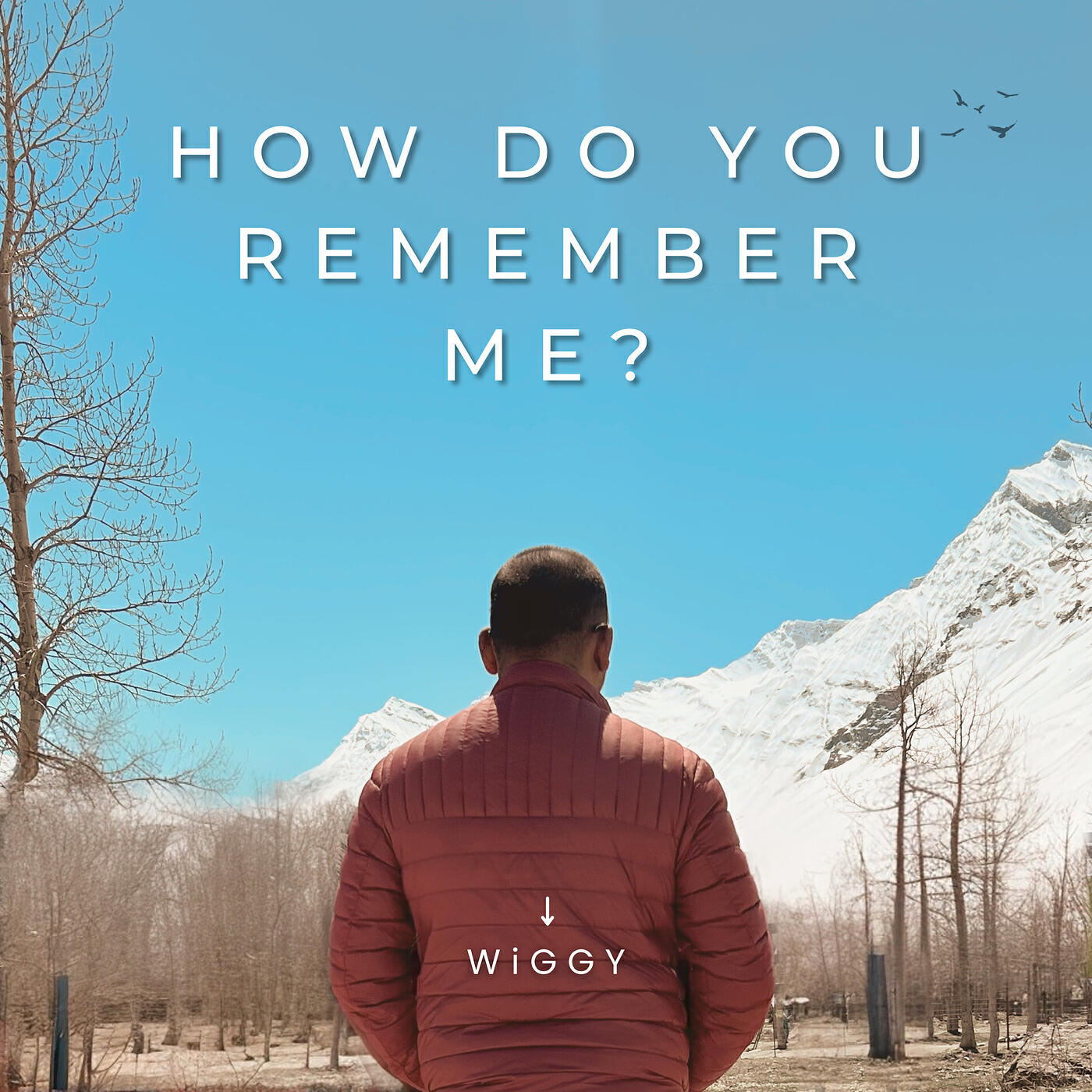 Релиз How Do You Remember Me?